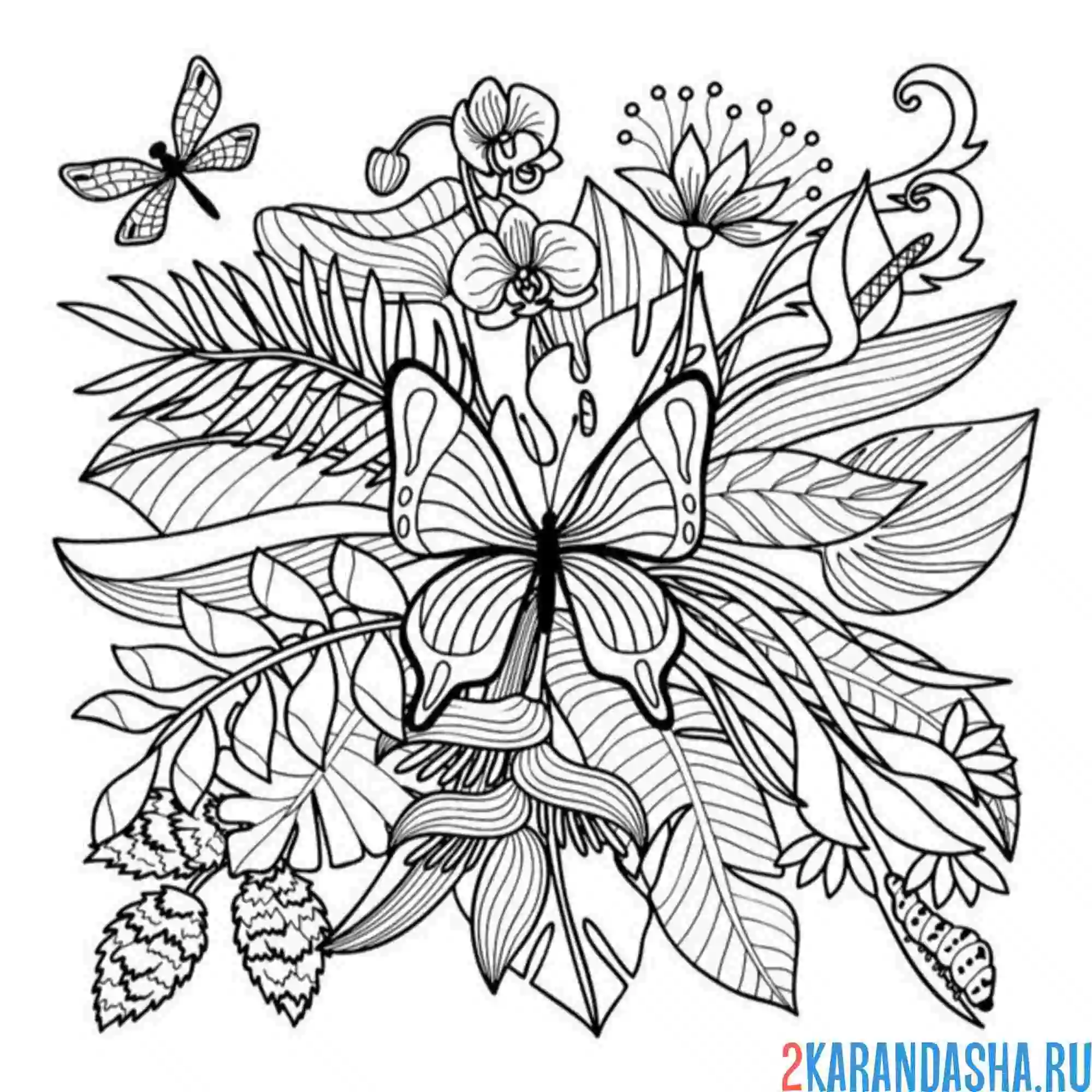 Раскраска бабочка листья пальмы