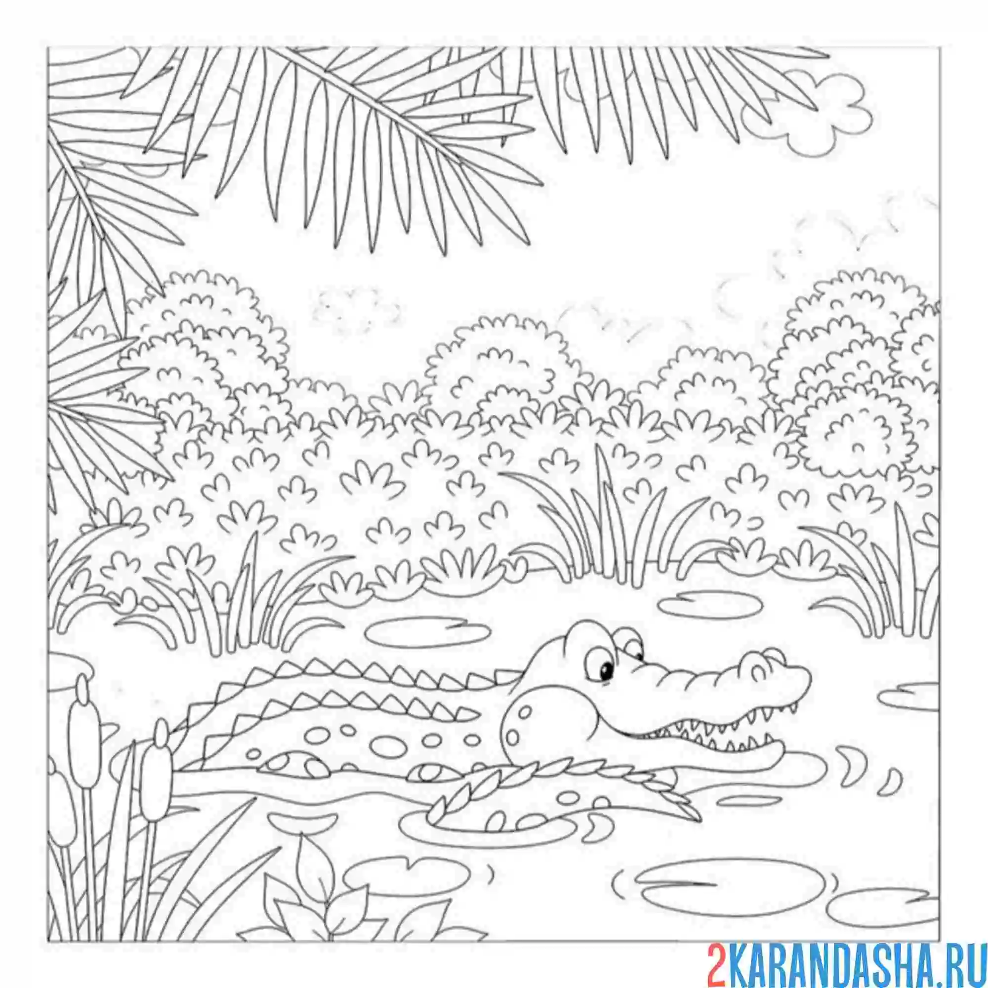 Раскраска крокодил из африки