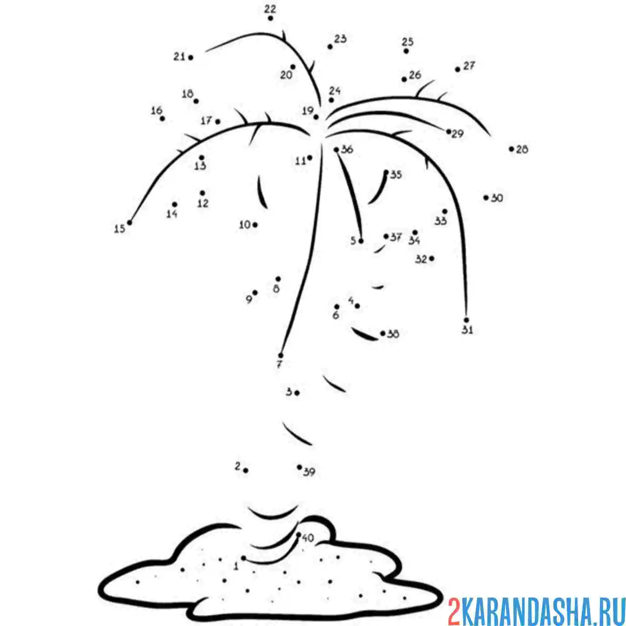 Раскраска обведи пальмц