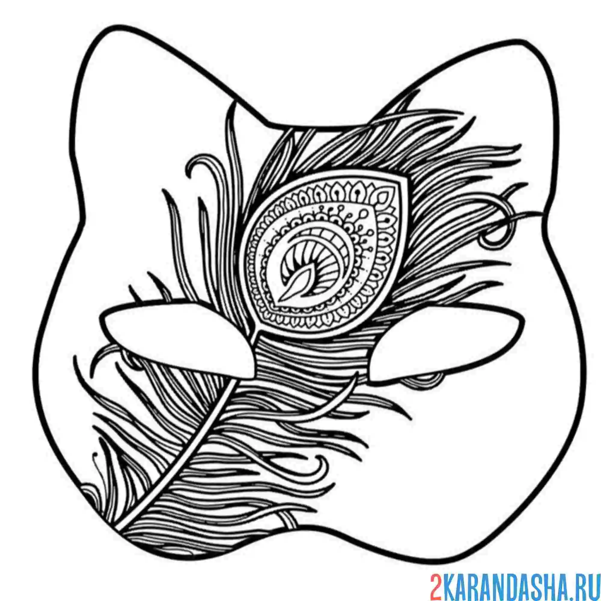 Раскраска маска квадробики перо павлина