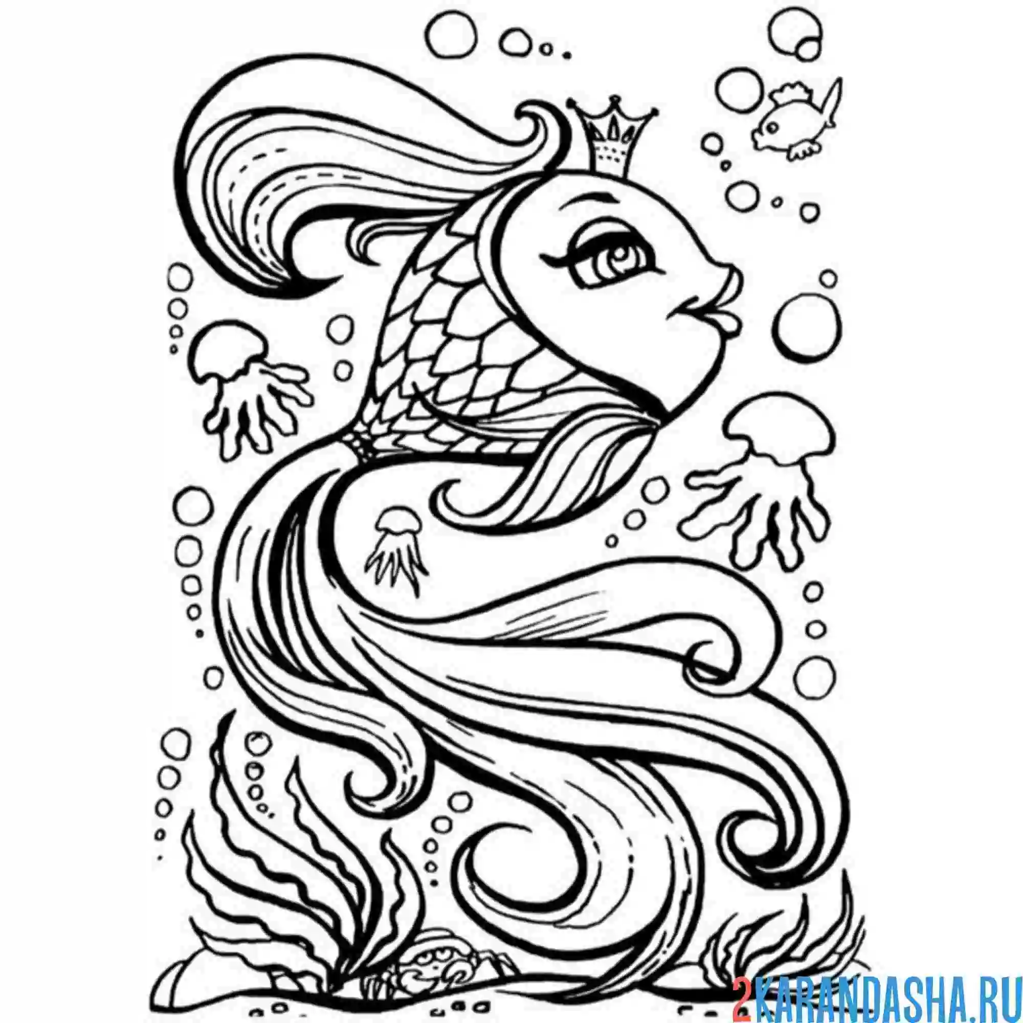 Раскраска красивая золотая рыбка