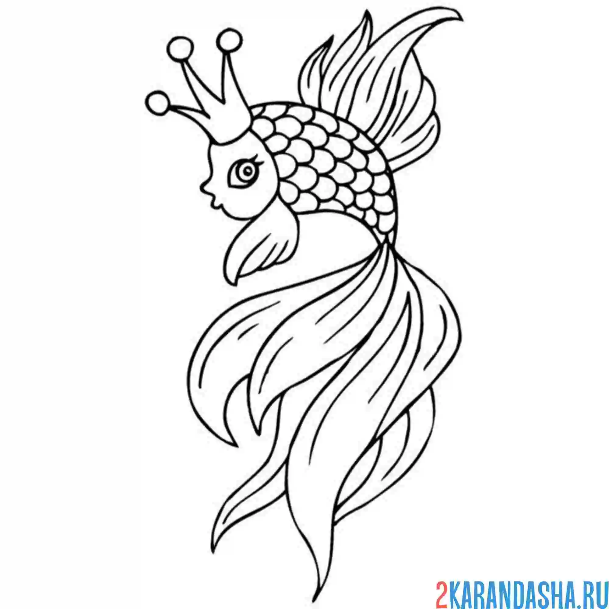 Раскраска пушистый хвостик у золотой рыбки