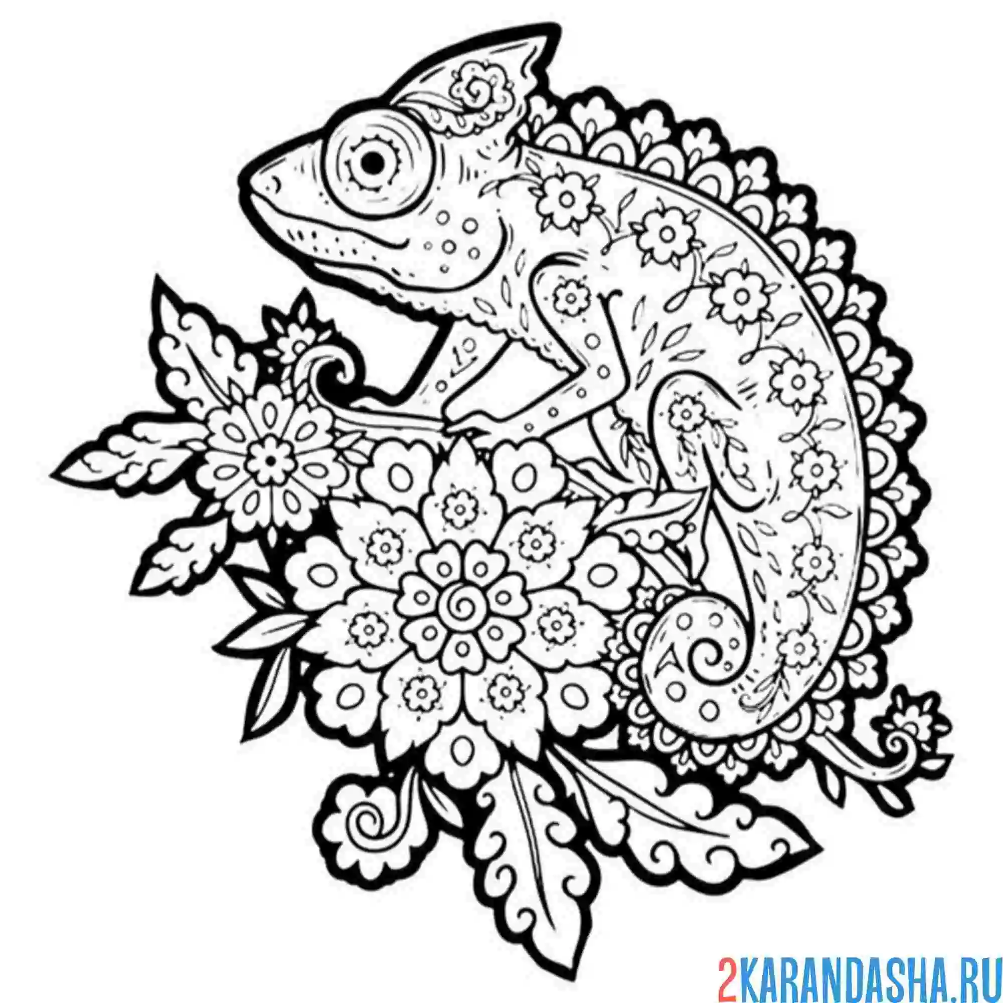 Раскраска хамелеон арт антистресс