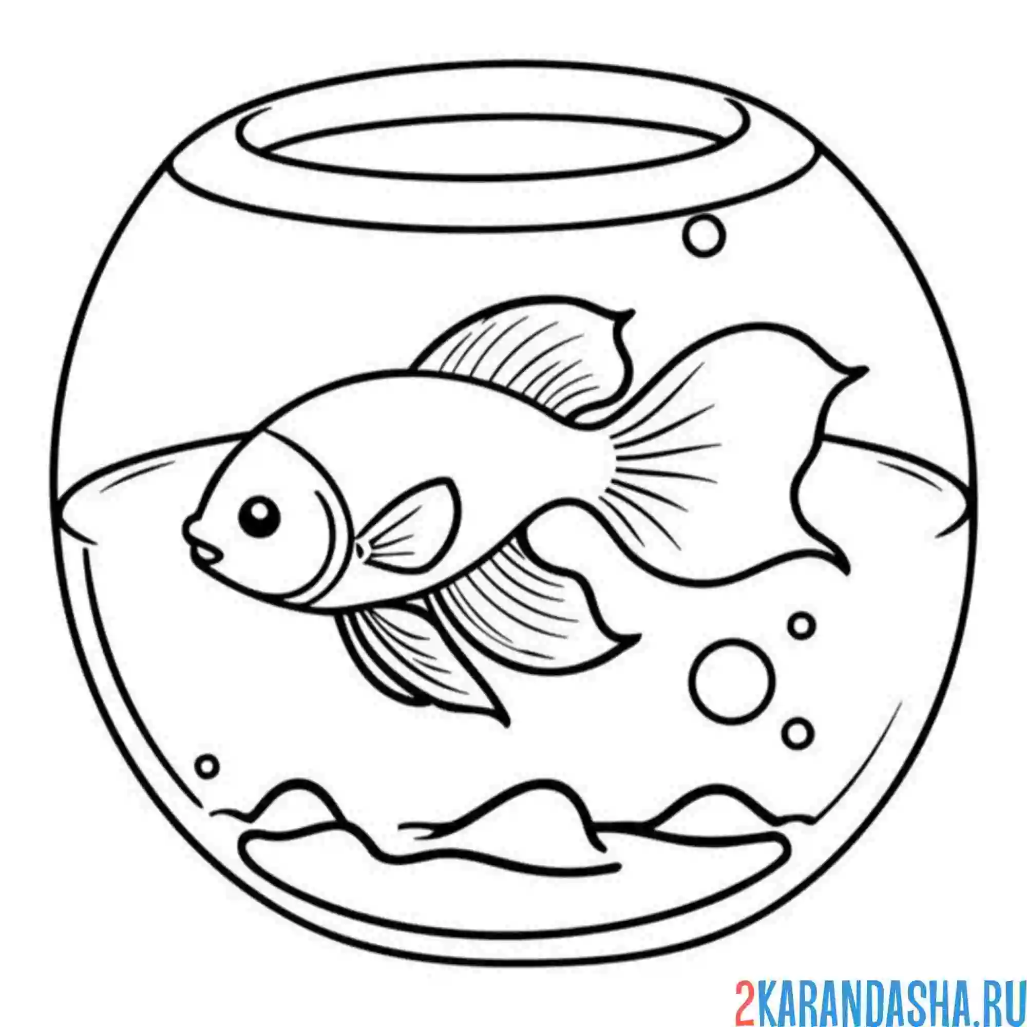 Раскраска маленькая рыбка в круглом аквариуме