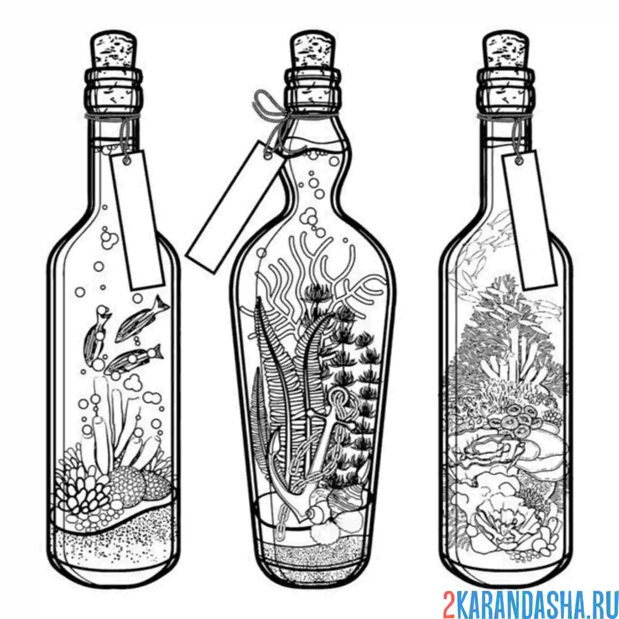 Раскраска три бутылки аквариума