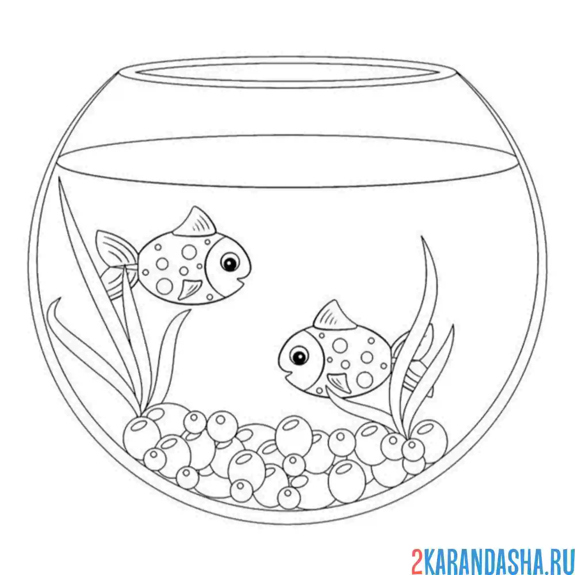 Раскраска две рыбки аквариум