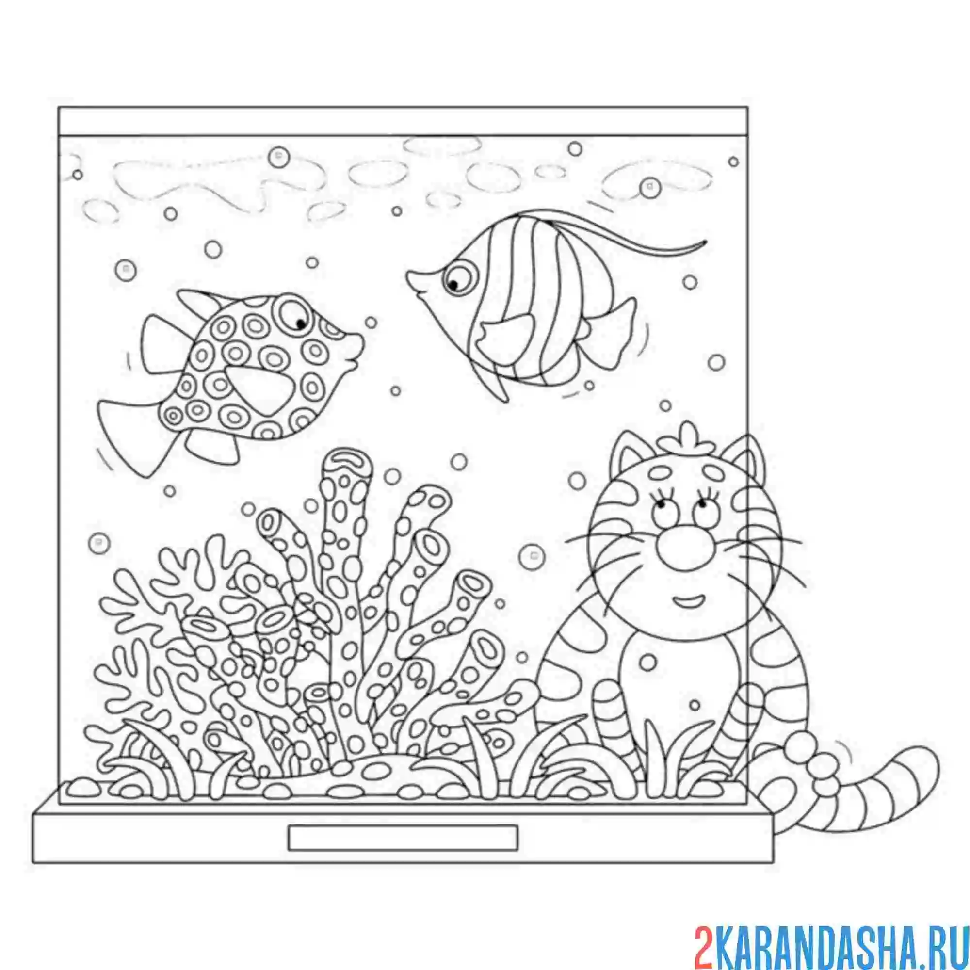 Раскраска кот и большой аквариум