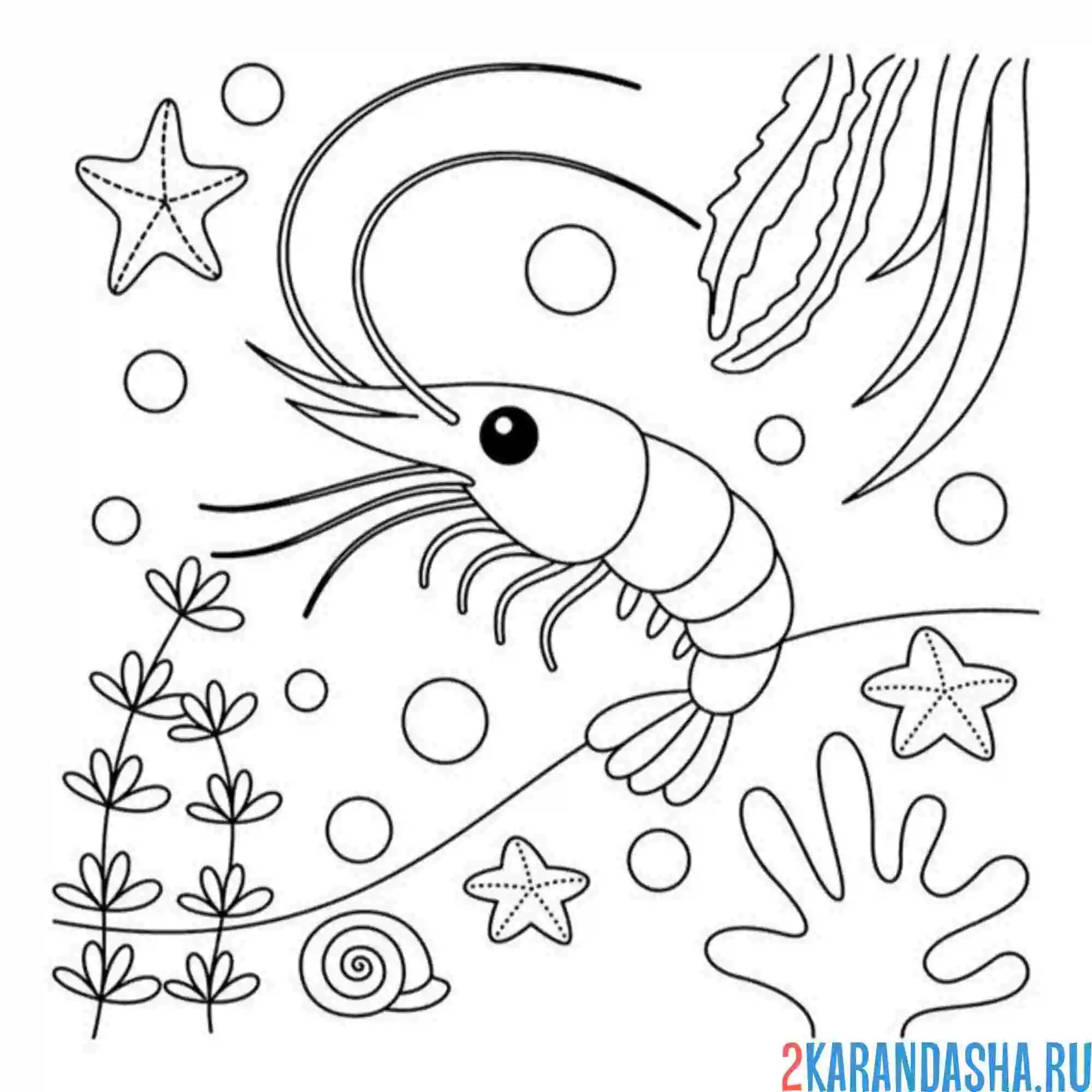 Раскраска рак под водой