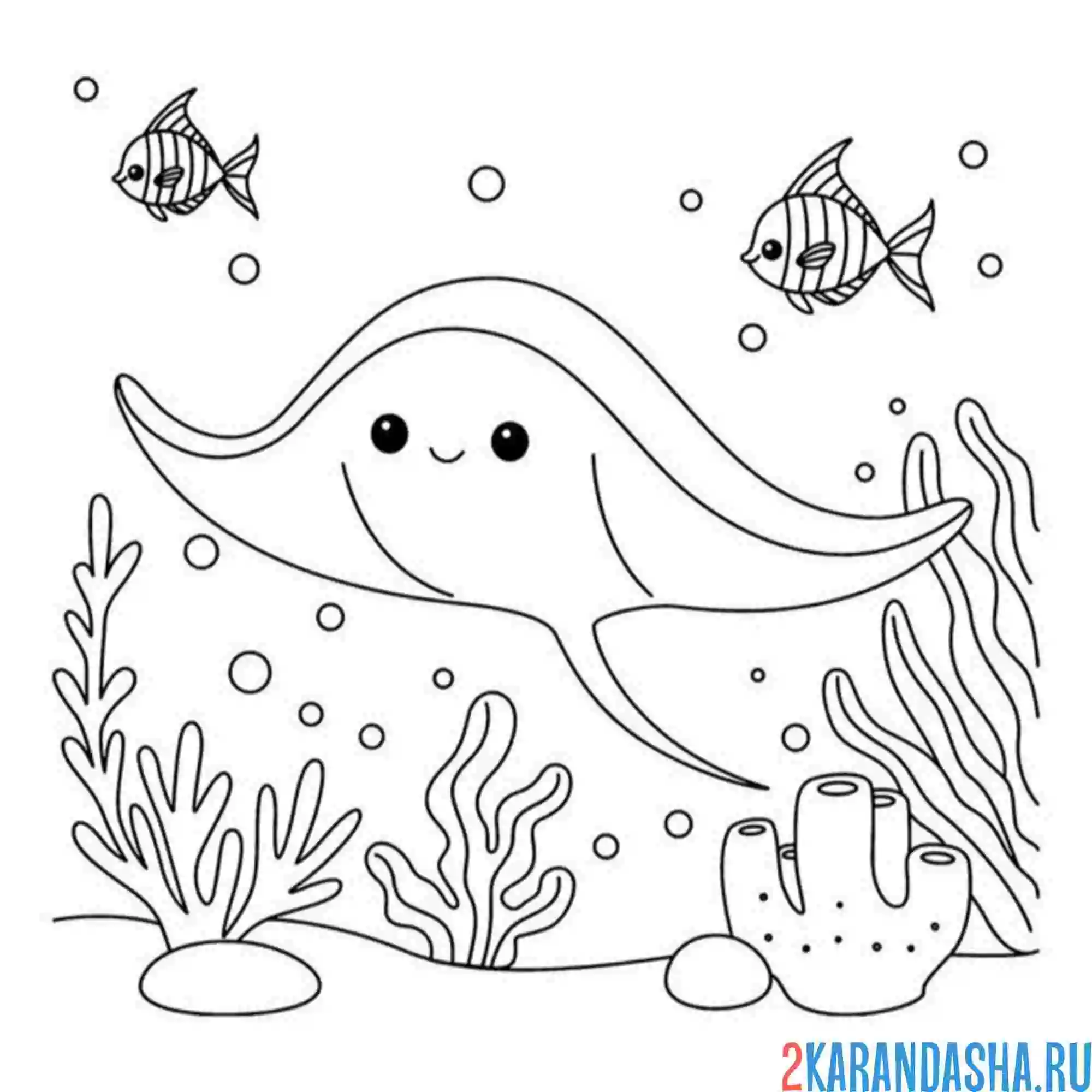 Раскраска скат на дне морском