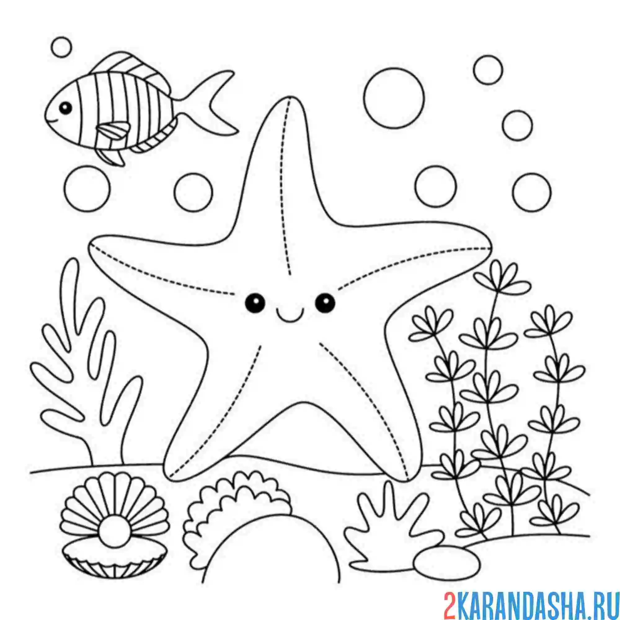 Раскраска морская звезда каваи