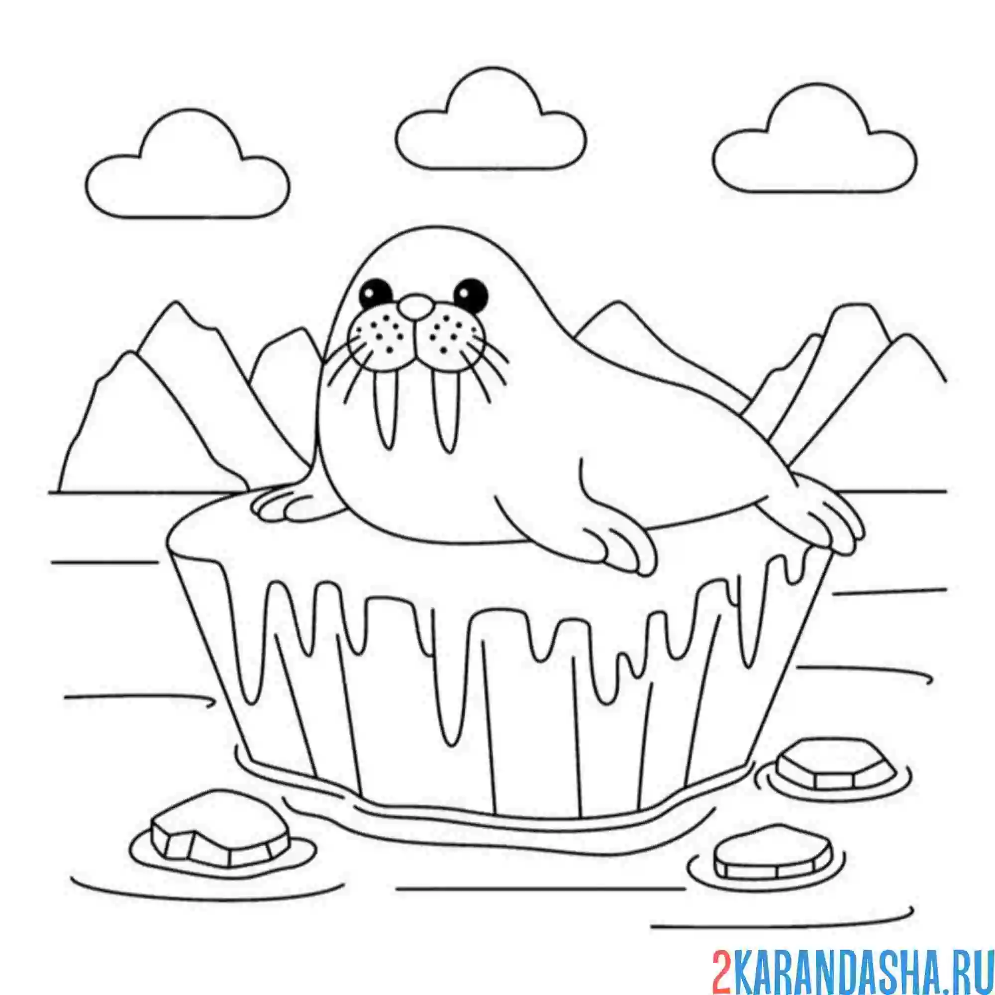 Раскраска морж на льдине