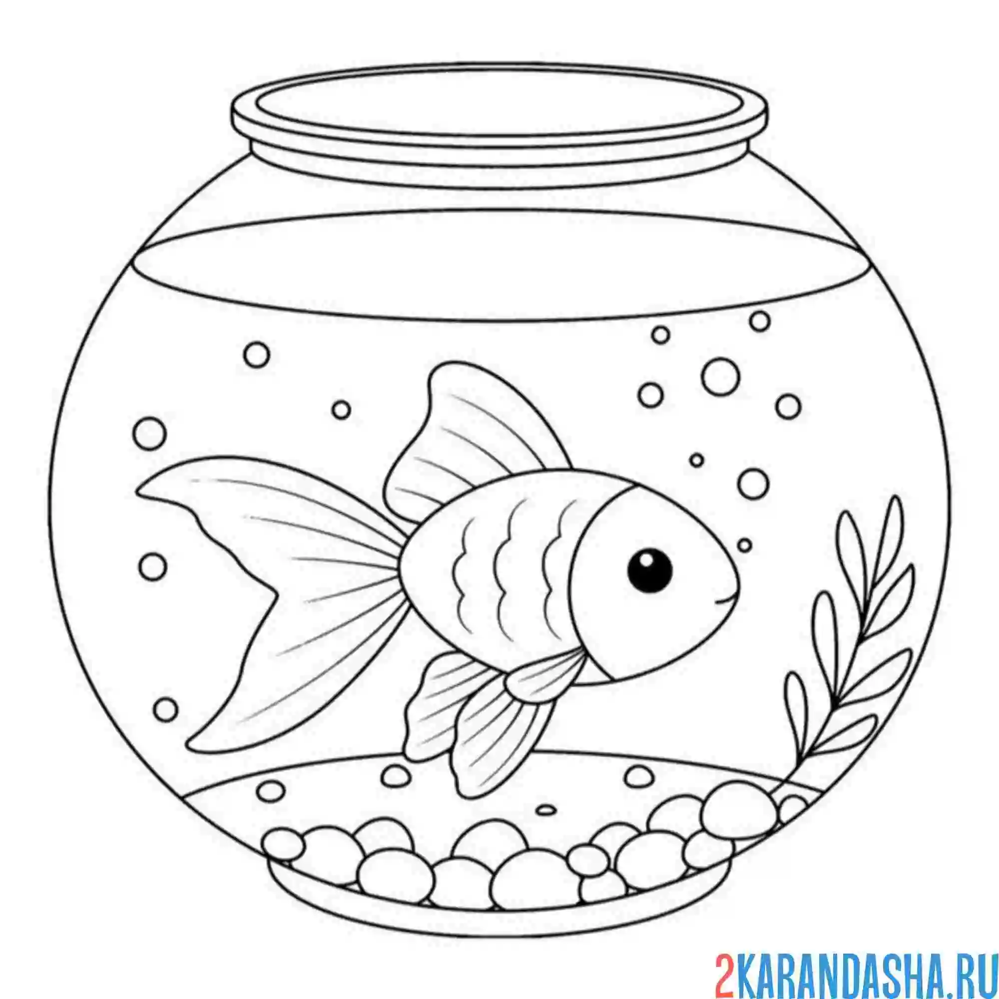 Раскраска аквариумная золотая рыбка в аквариуме