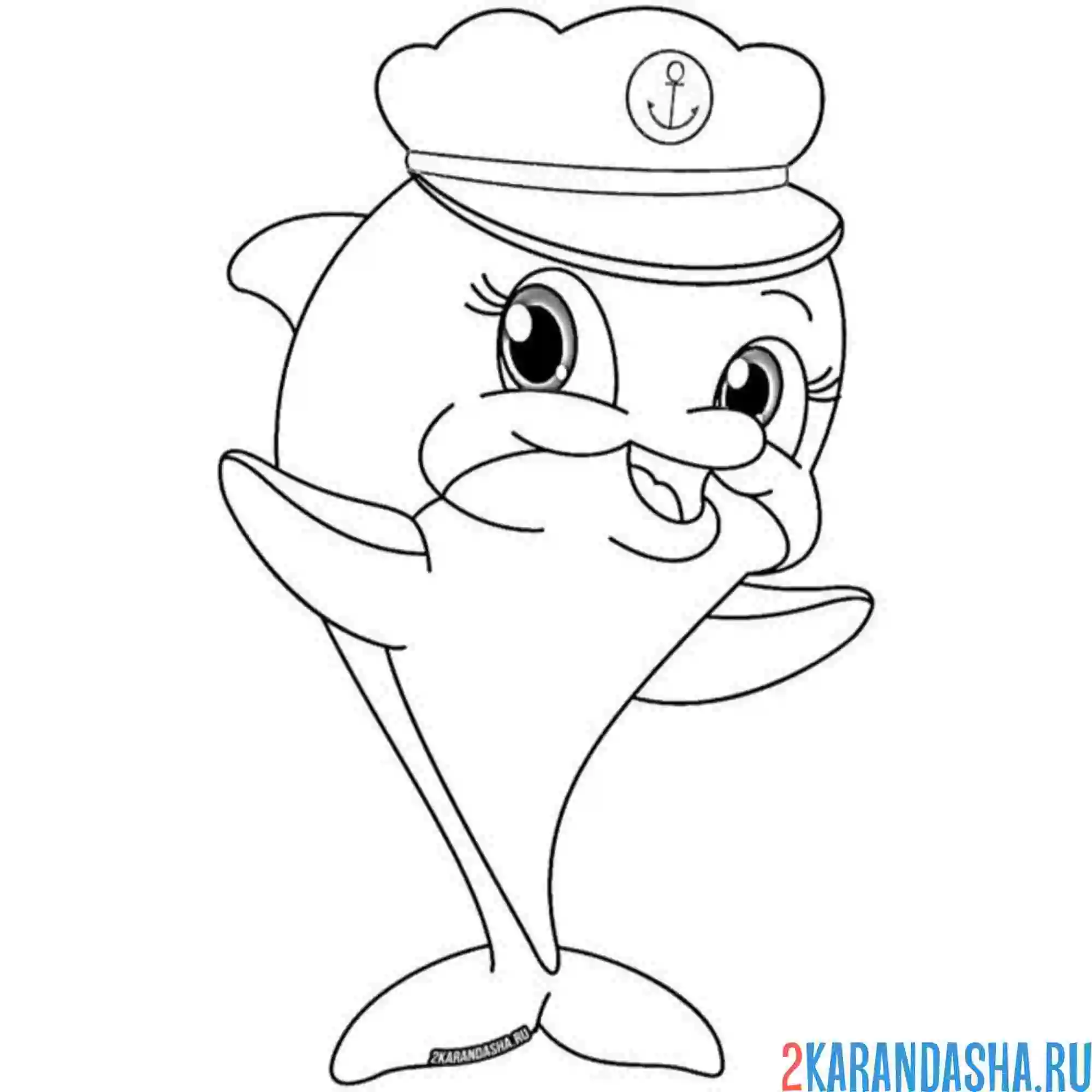 Раскраска капитан-дельфин