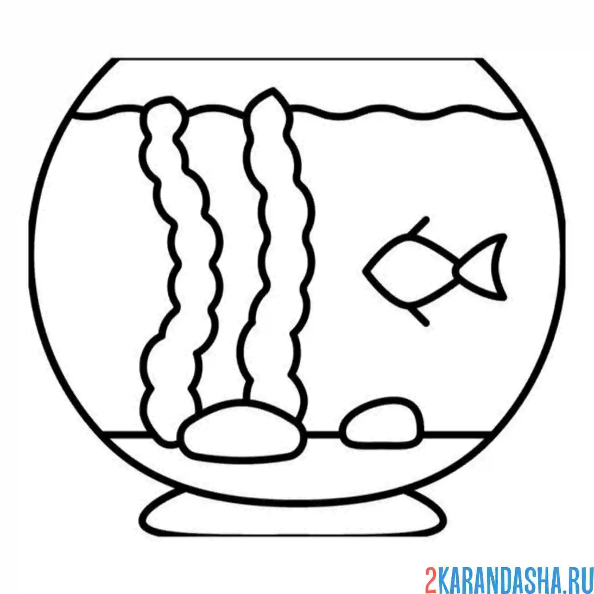 Раскраска малышка рыбка и водоросли в аквариуме