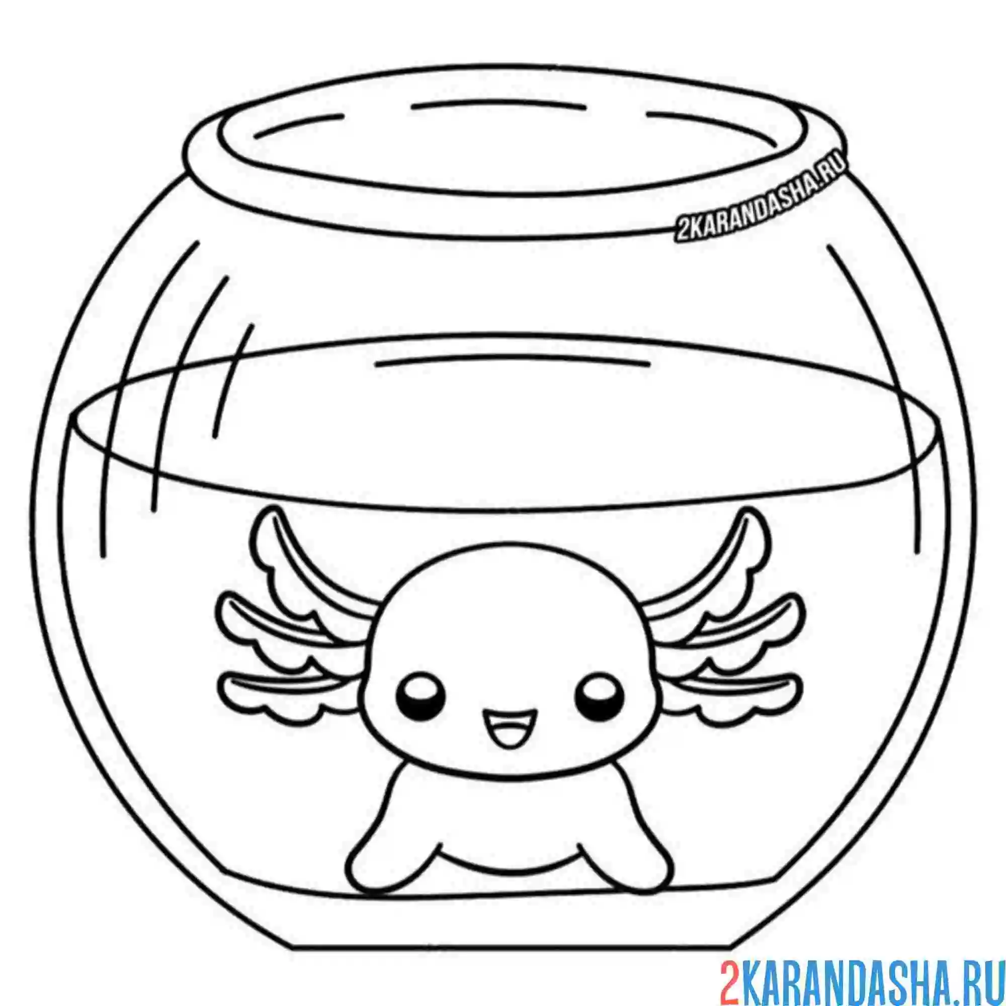 Раскраска аксолотль в аквариуме