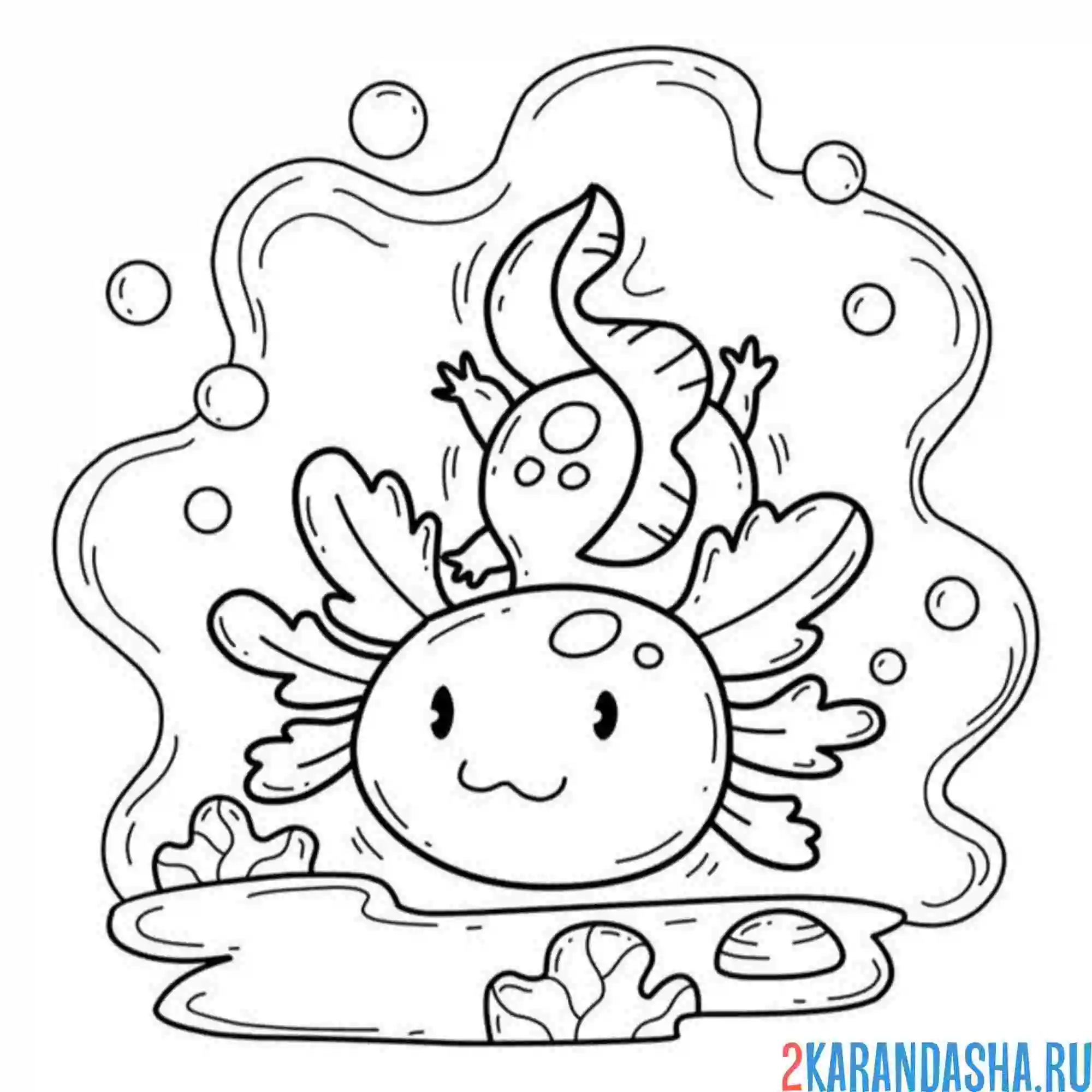 Раскраска малыш аксолотль