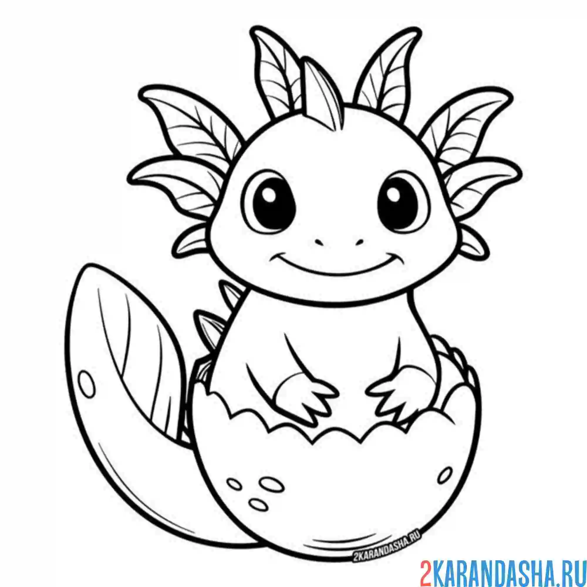 Раскраска аксолотль вылупился