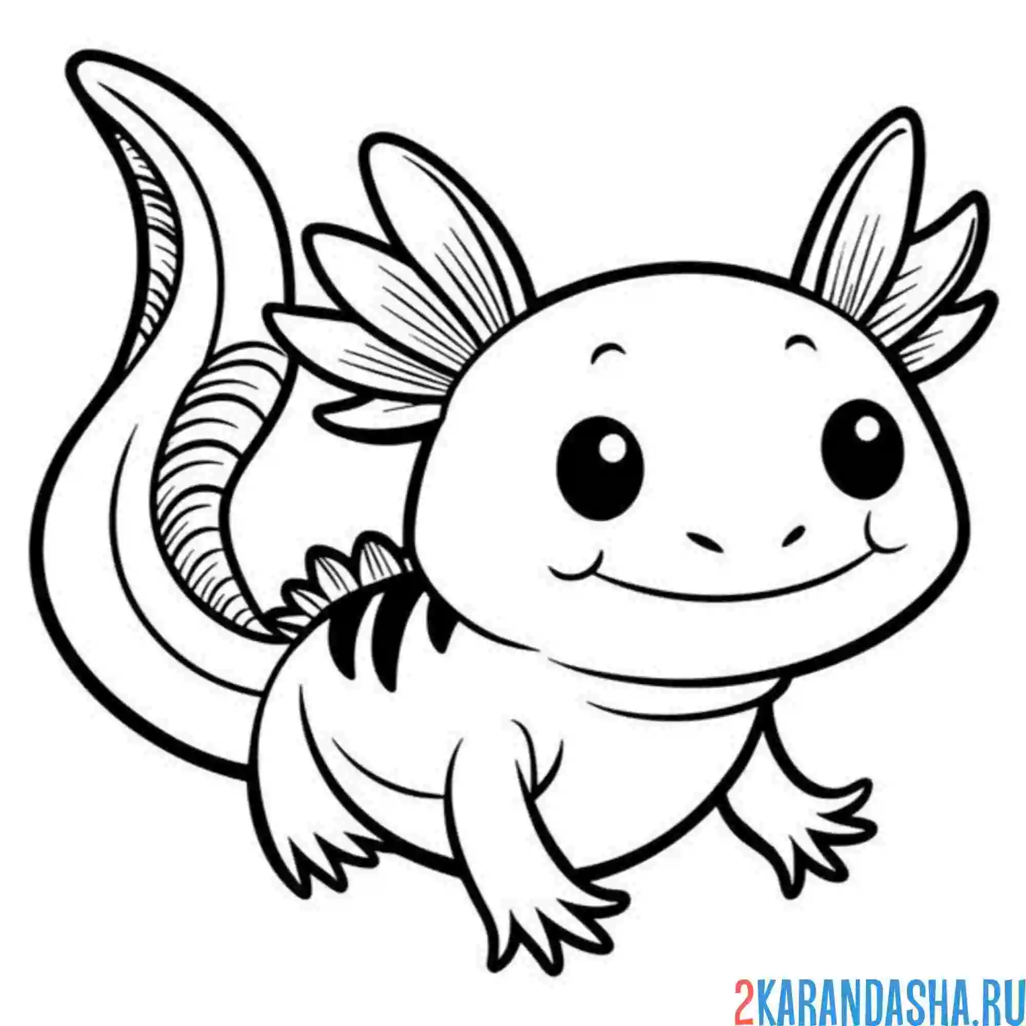 Раскраска аксолотль милашный