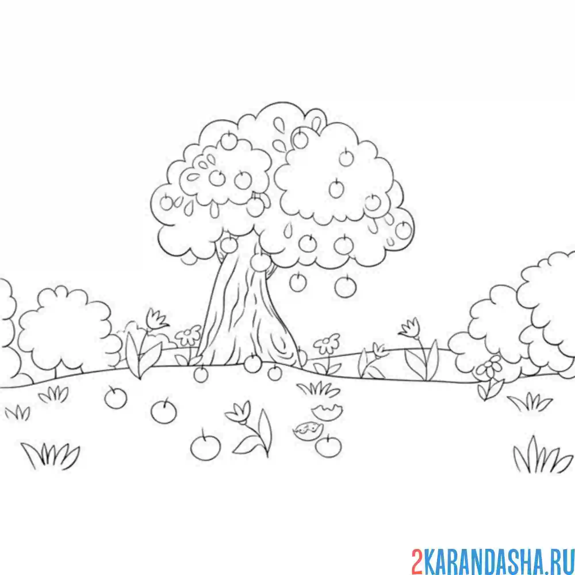 Раскраска яблоня с яблоками дерево