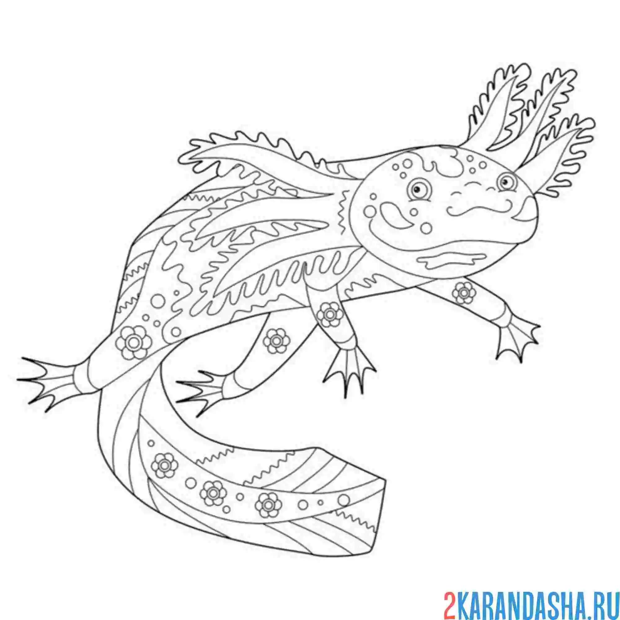 Раскраска аксолотль как антистресс