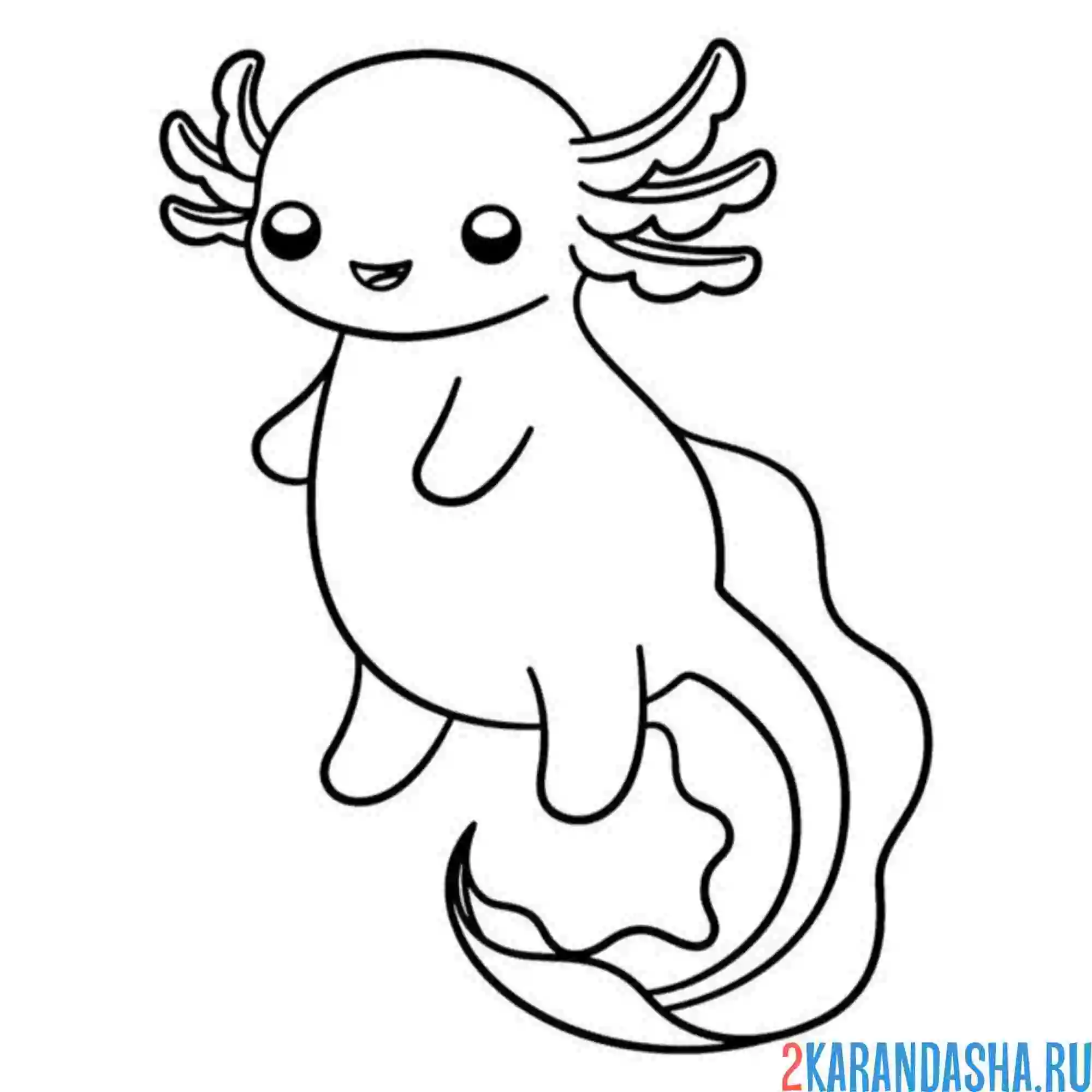 Раскраска толстенький аксолотль