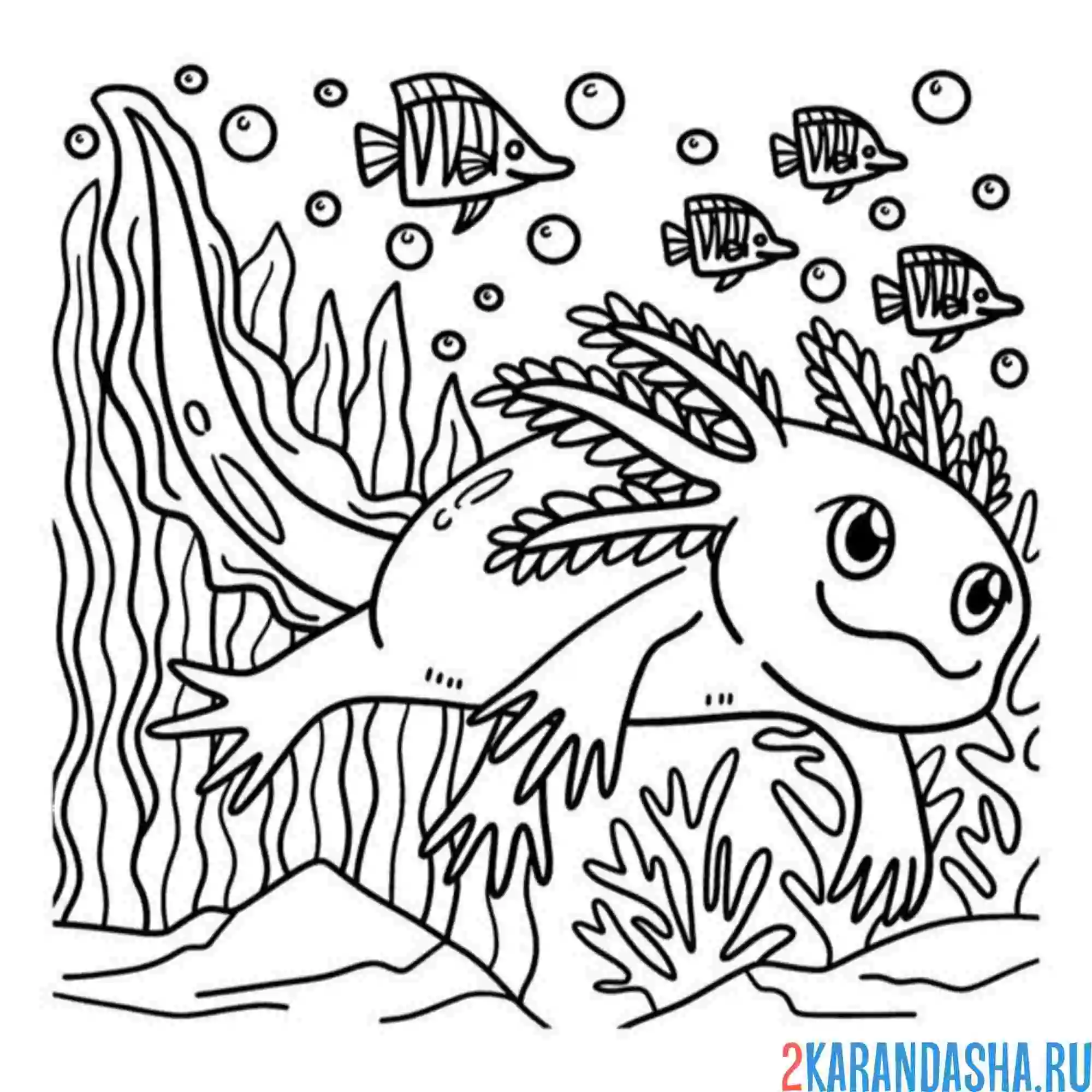 Раскраска в море аксолотль