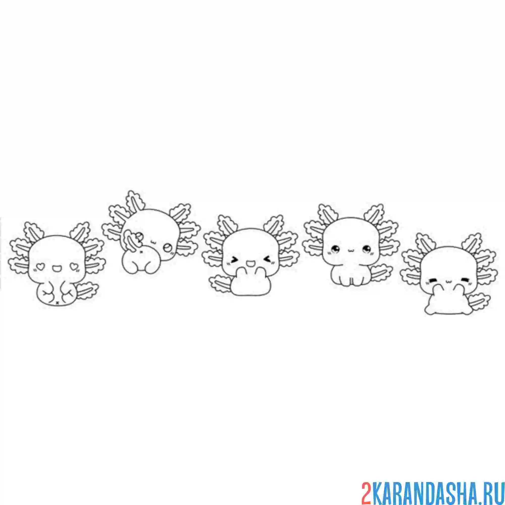 Раскраска аксолотль наборчик