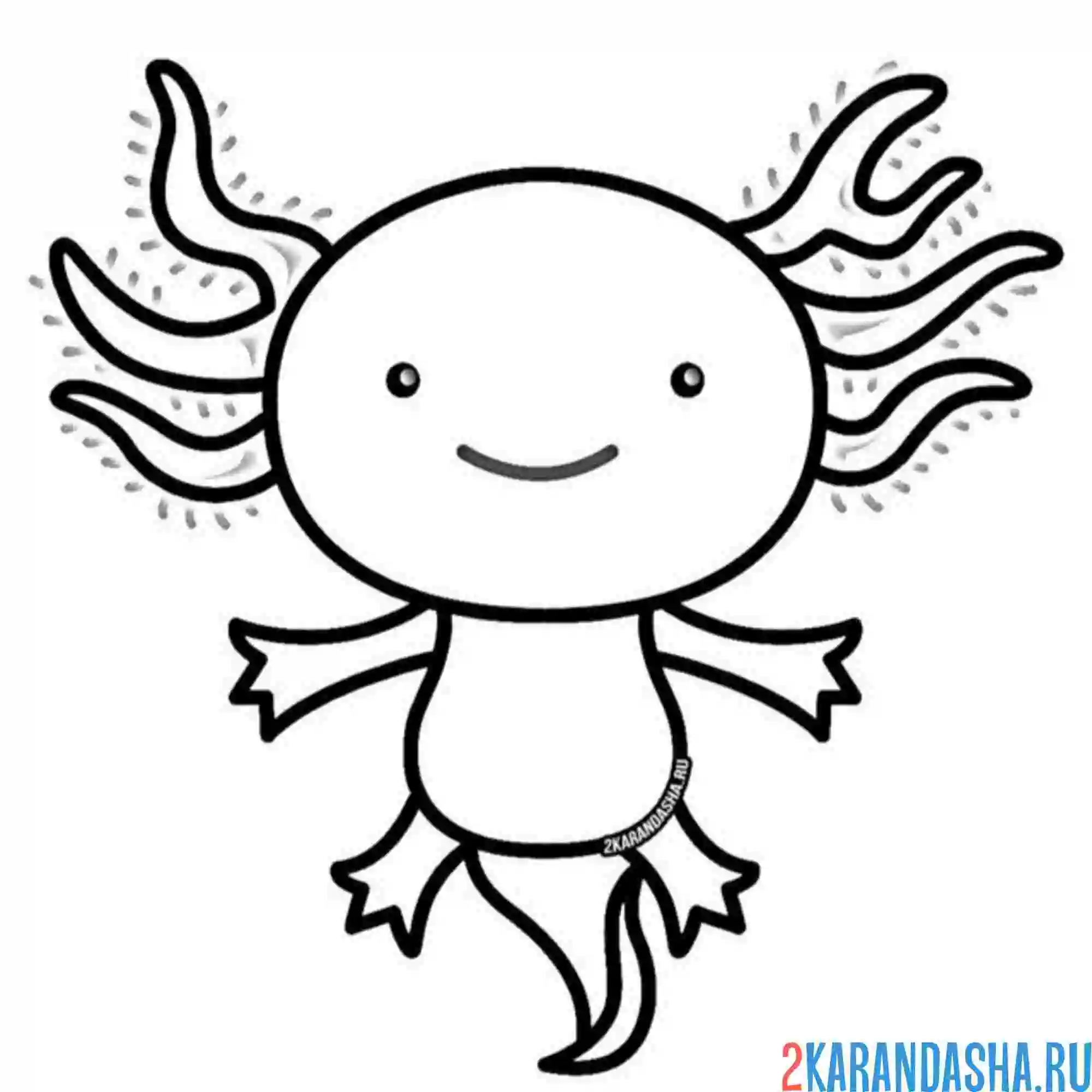 Раскраска аксолотль иконка