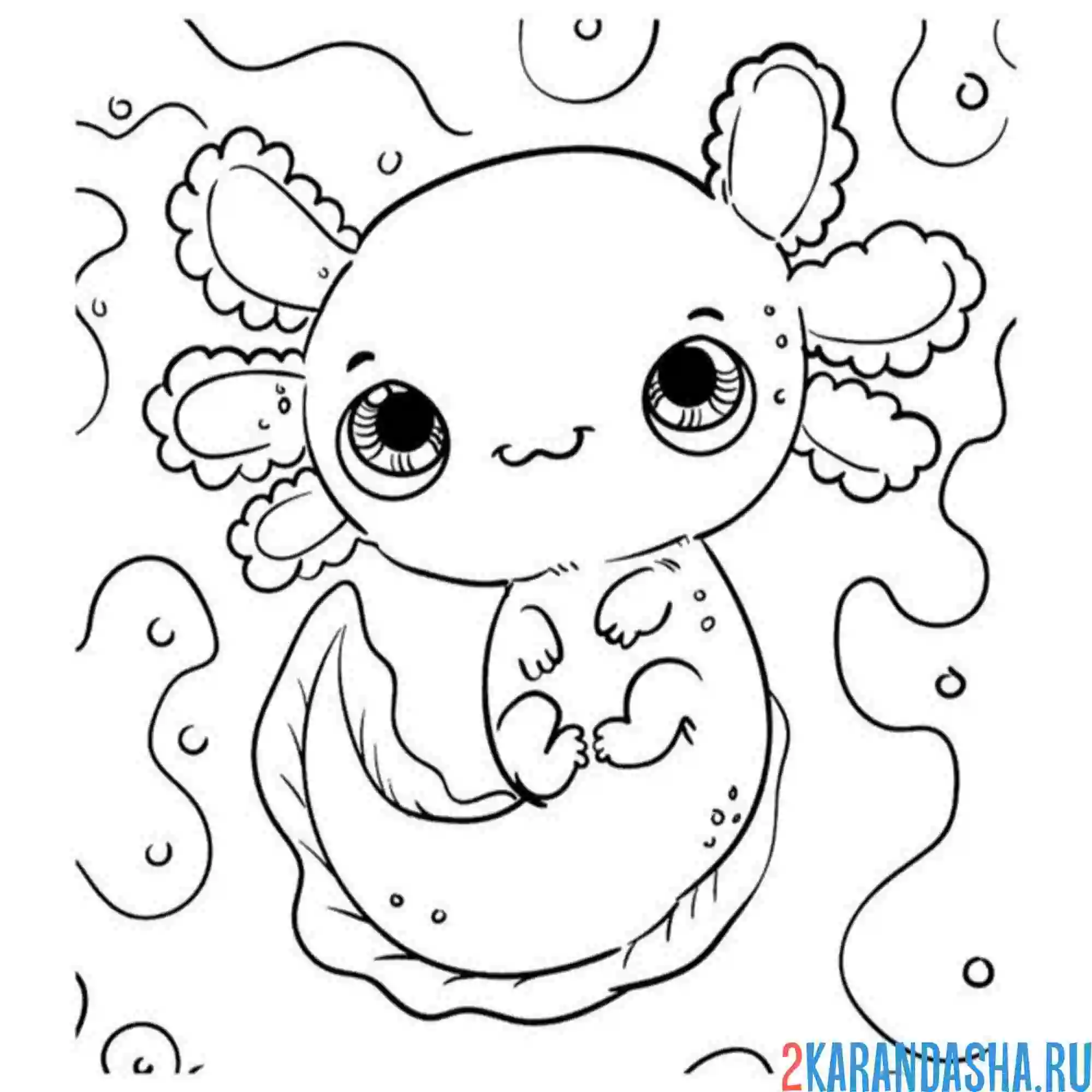Раскраска кавайный аксолотль