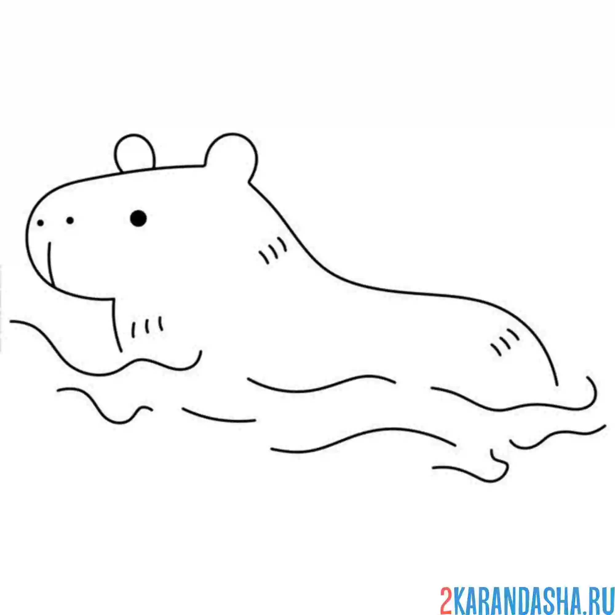 Раскраска капибара плывет