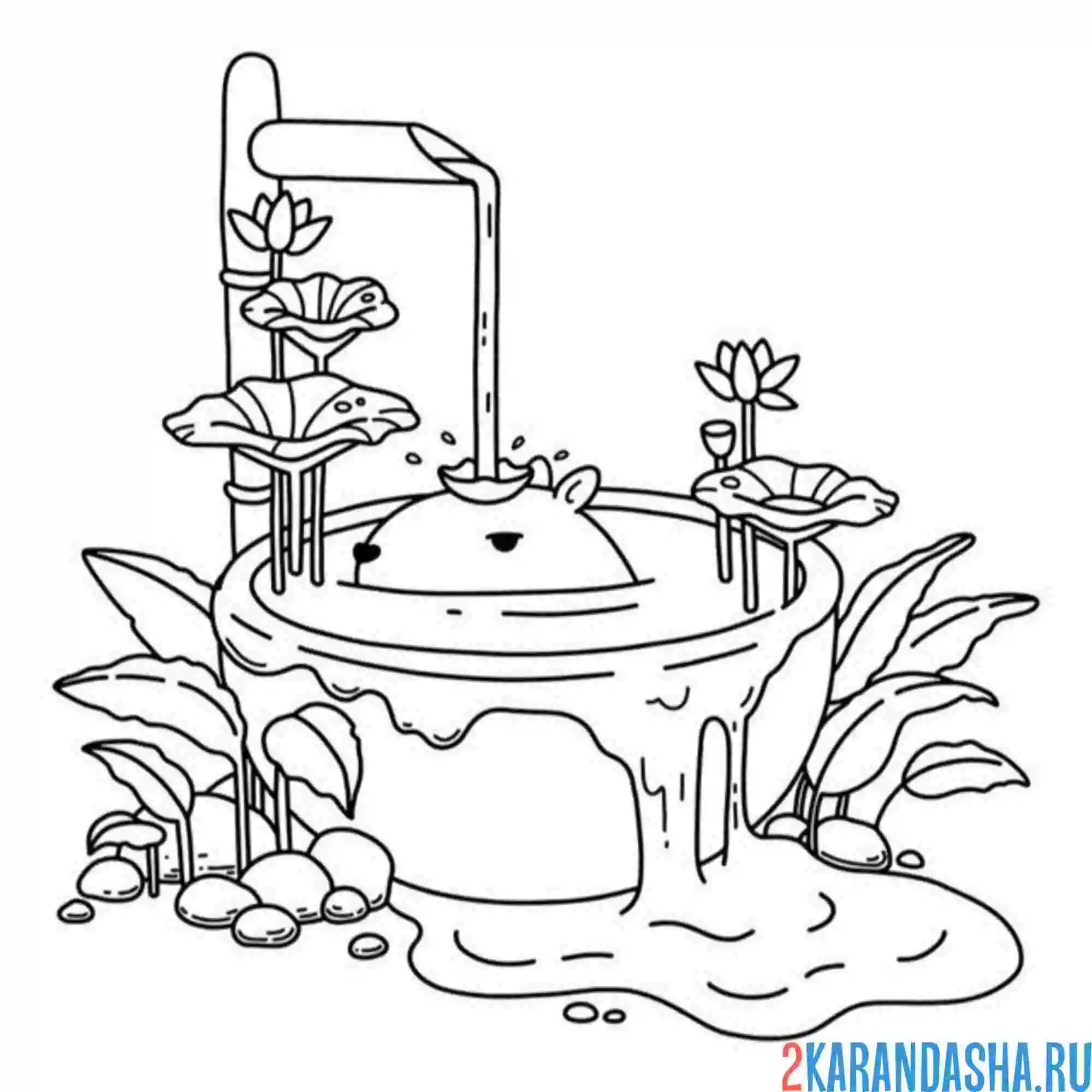 Раскраска капибара в фонтане