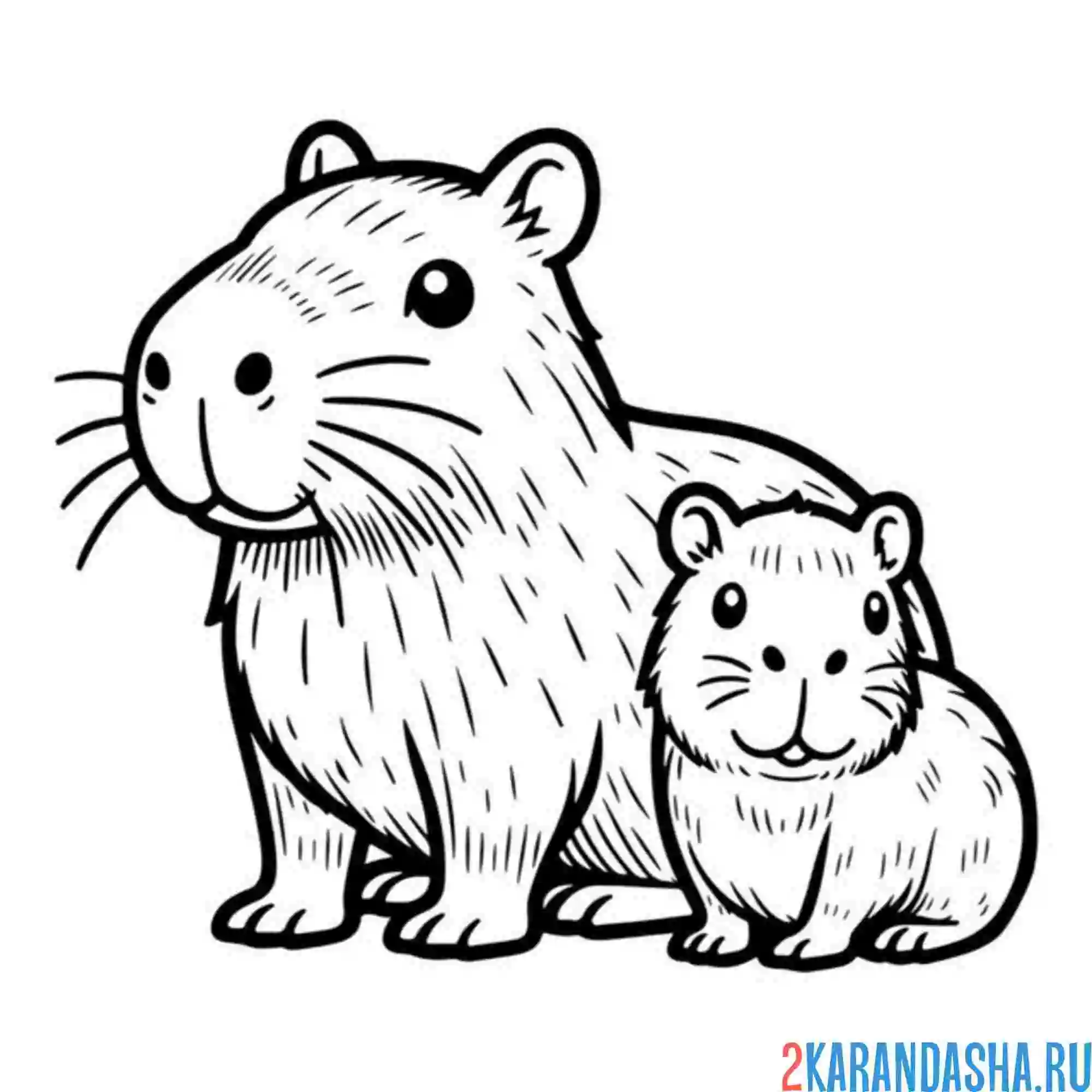 Раскраска капибара и малыш