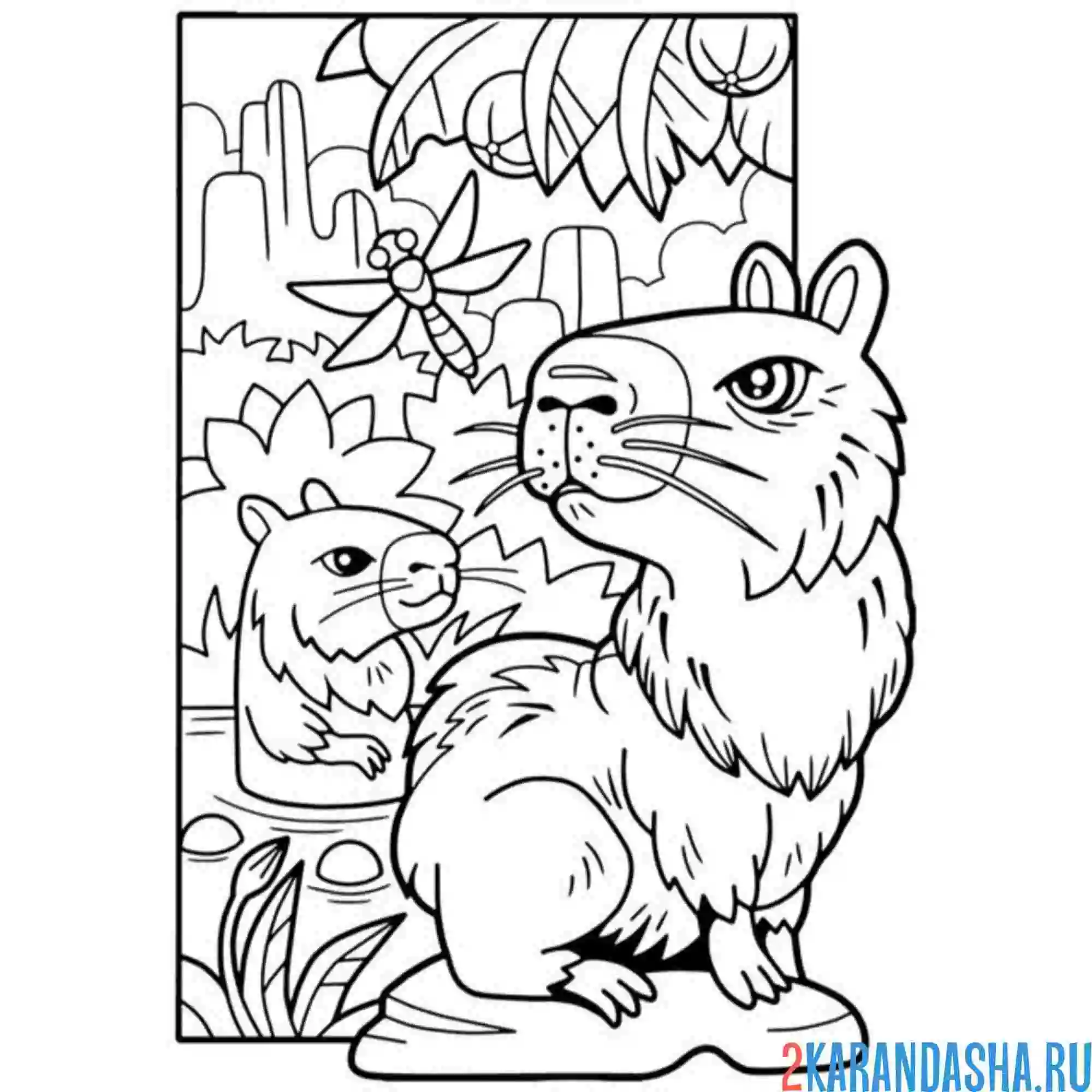 Раскраска капибара в дикой природе