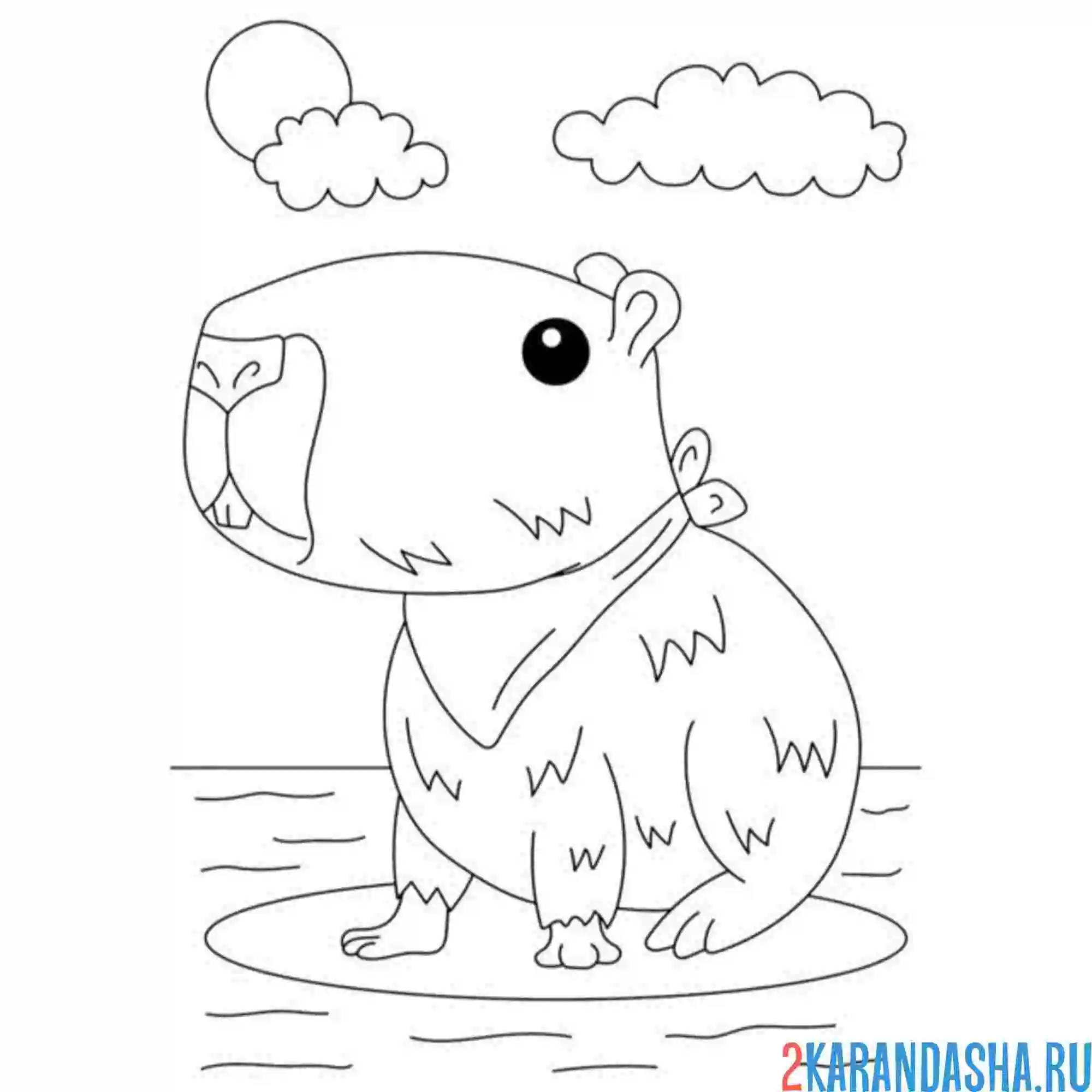 Раскраска капибара мальчик