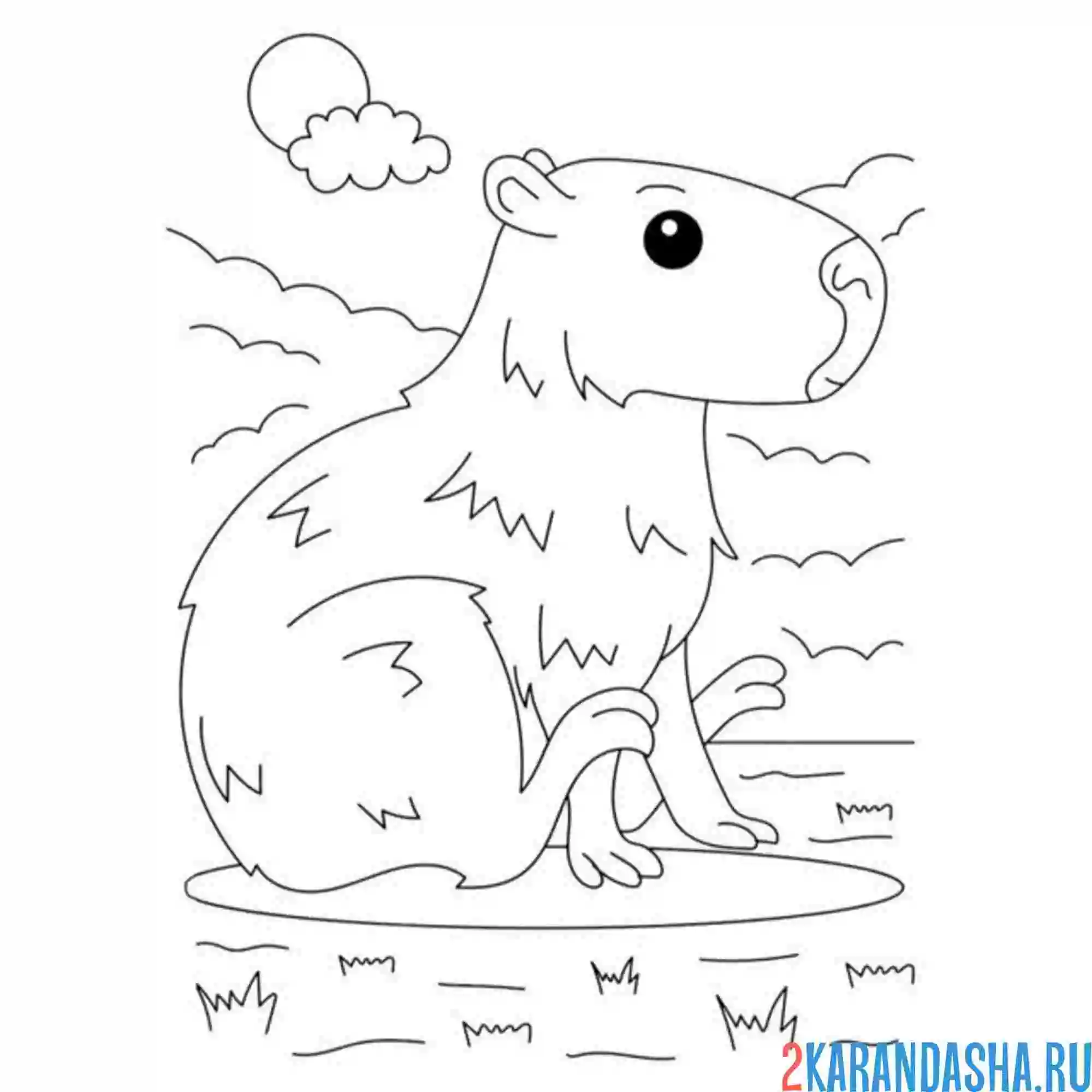 Раскраска капибара сидит