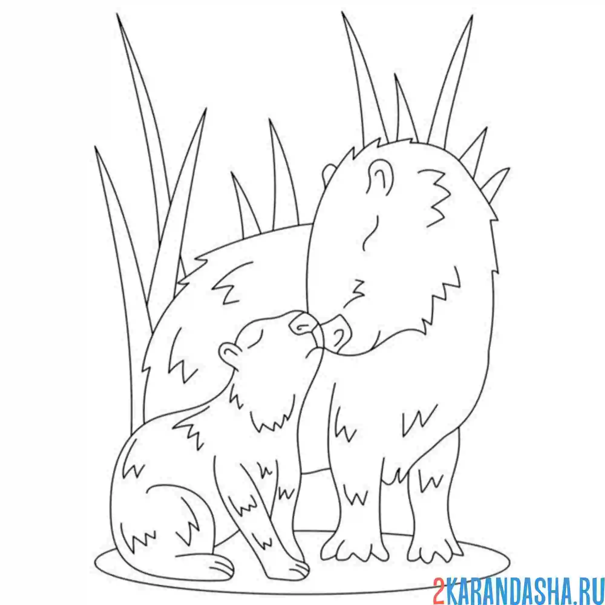 Раскраска капибара мама и ее малыш