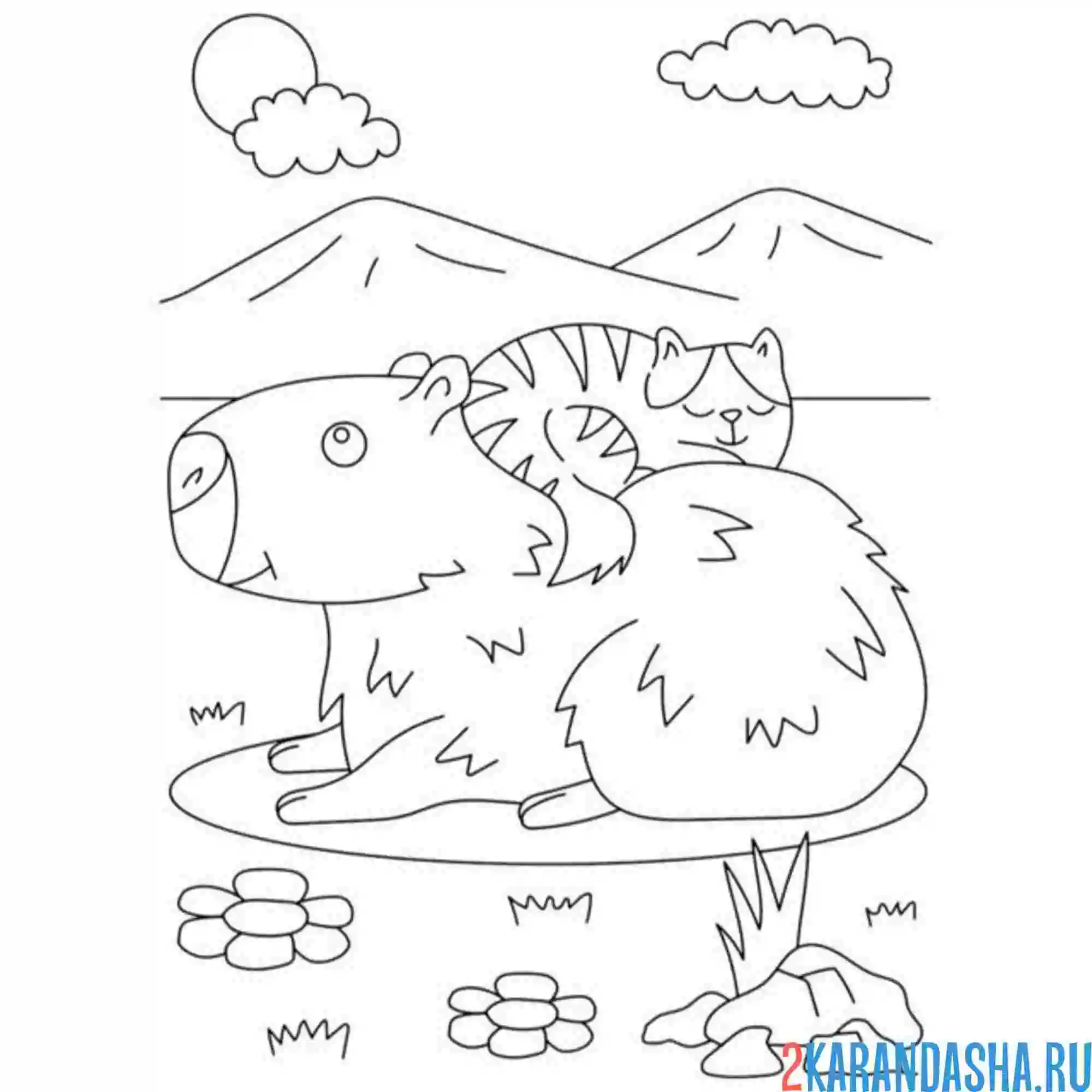 Раскраска капибара и котик