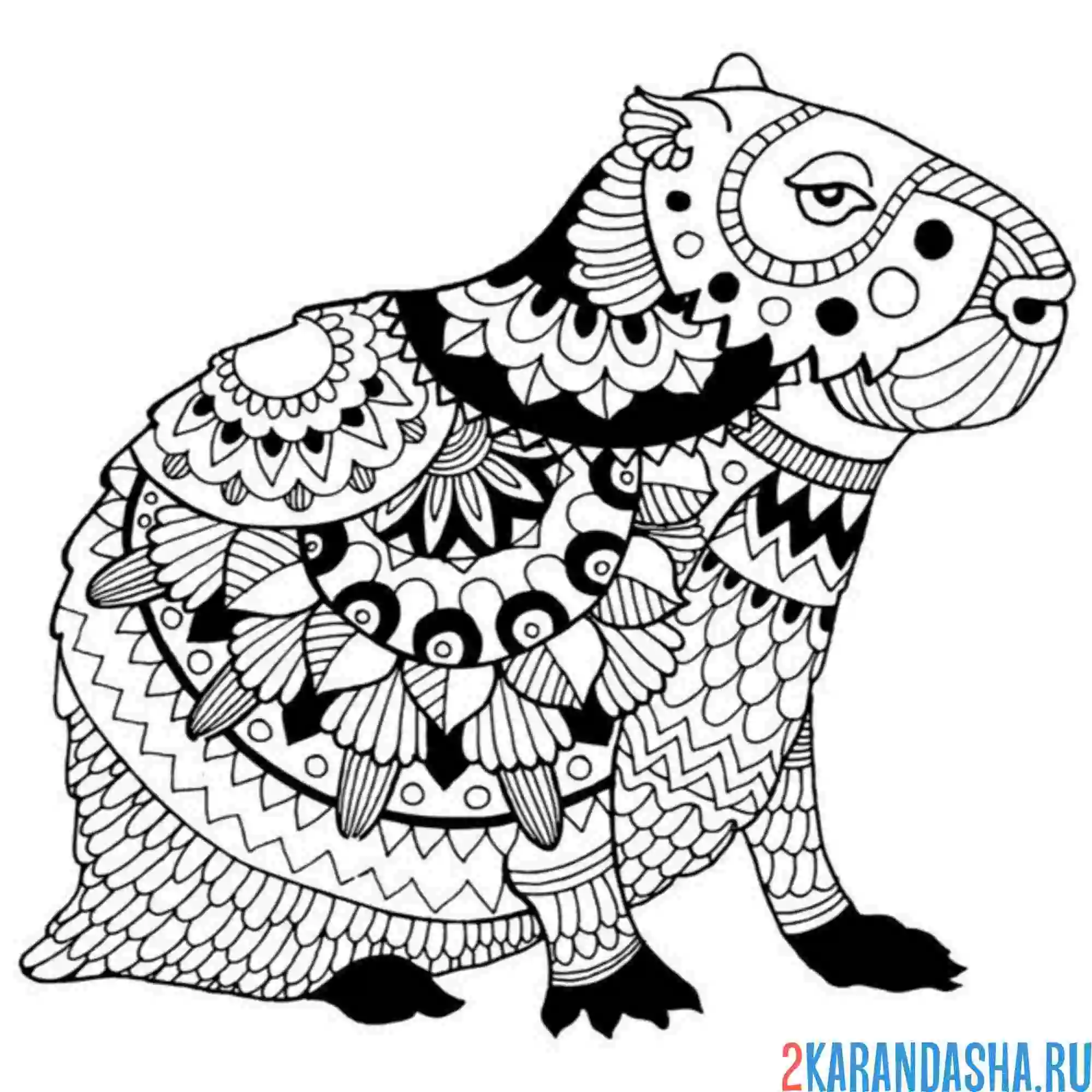 Раскраска капибара узоры антистресс