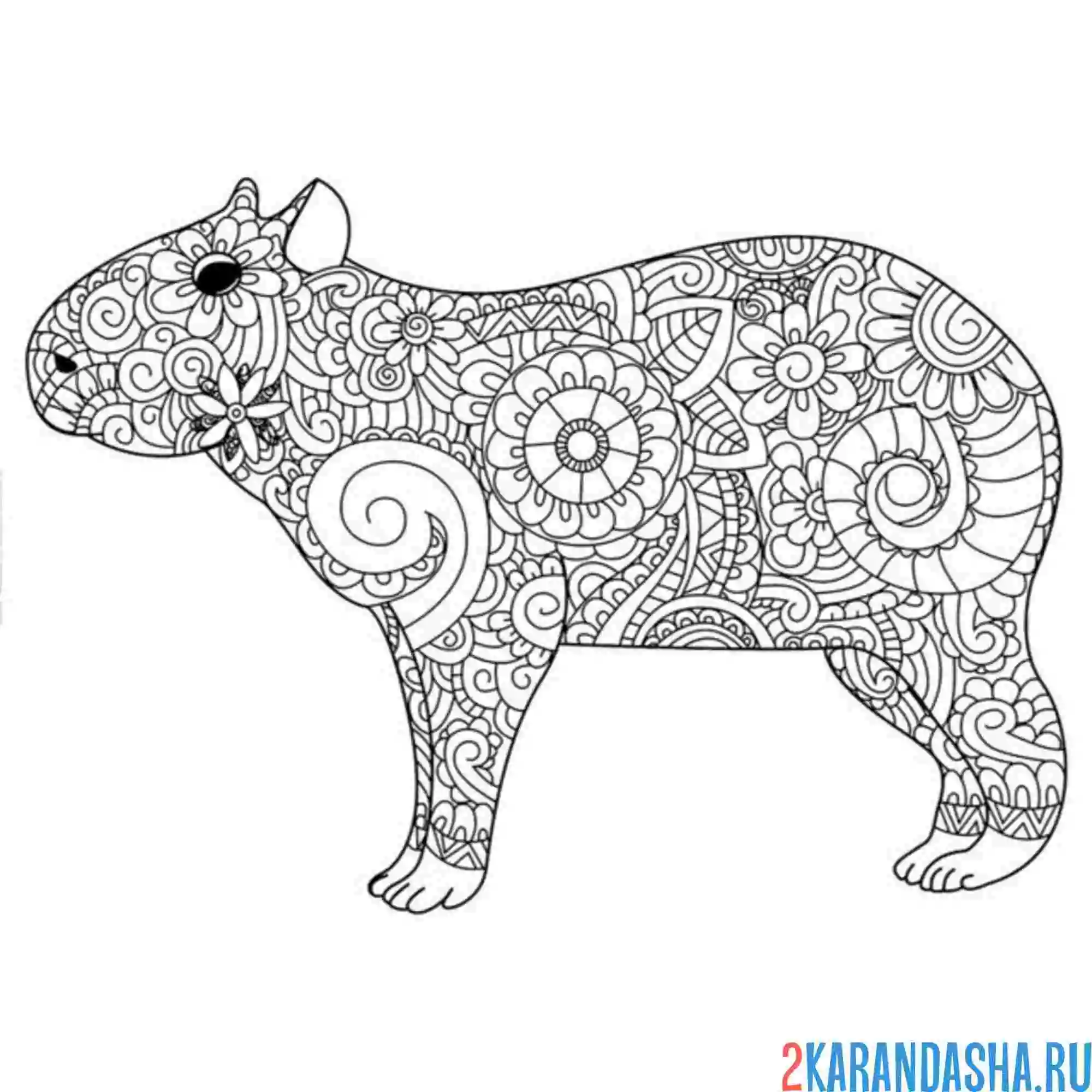 Раскраска капибара антистресс во весь рост