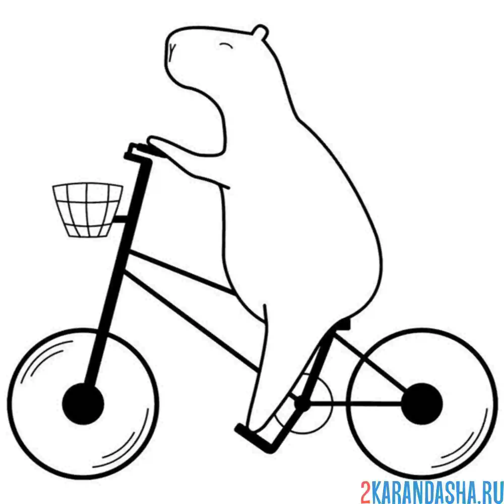 Раскраска капибара на велосипеде