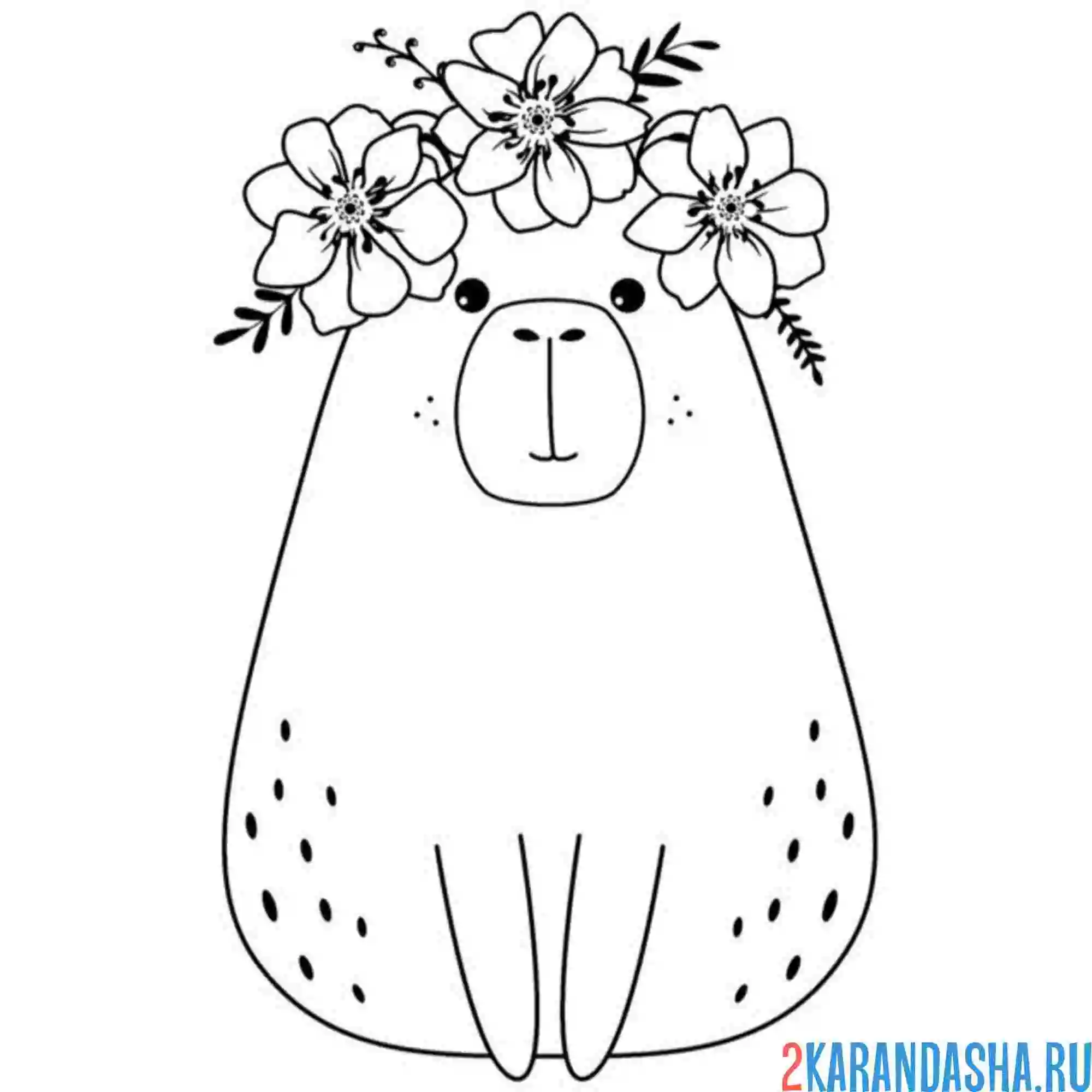 Раскраска капибара девочка