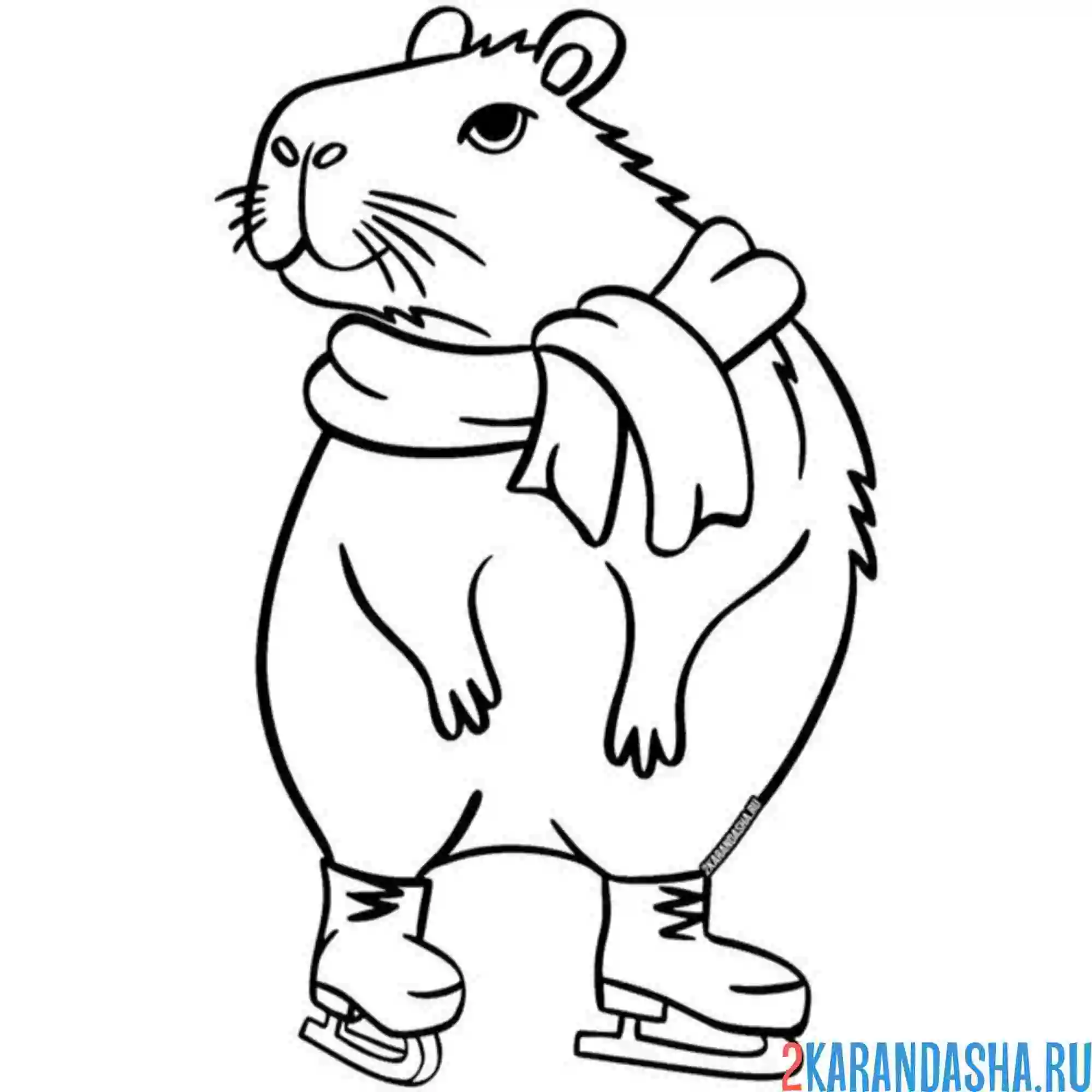 Раскраска капибара и коньки