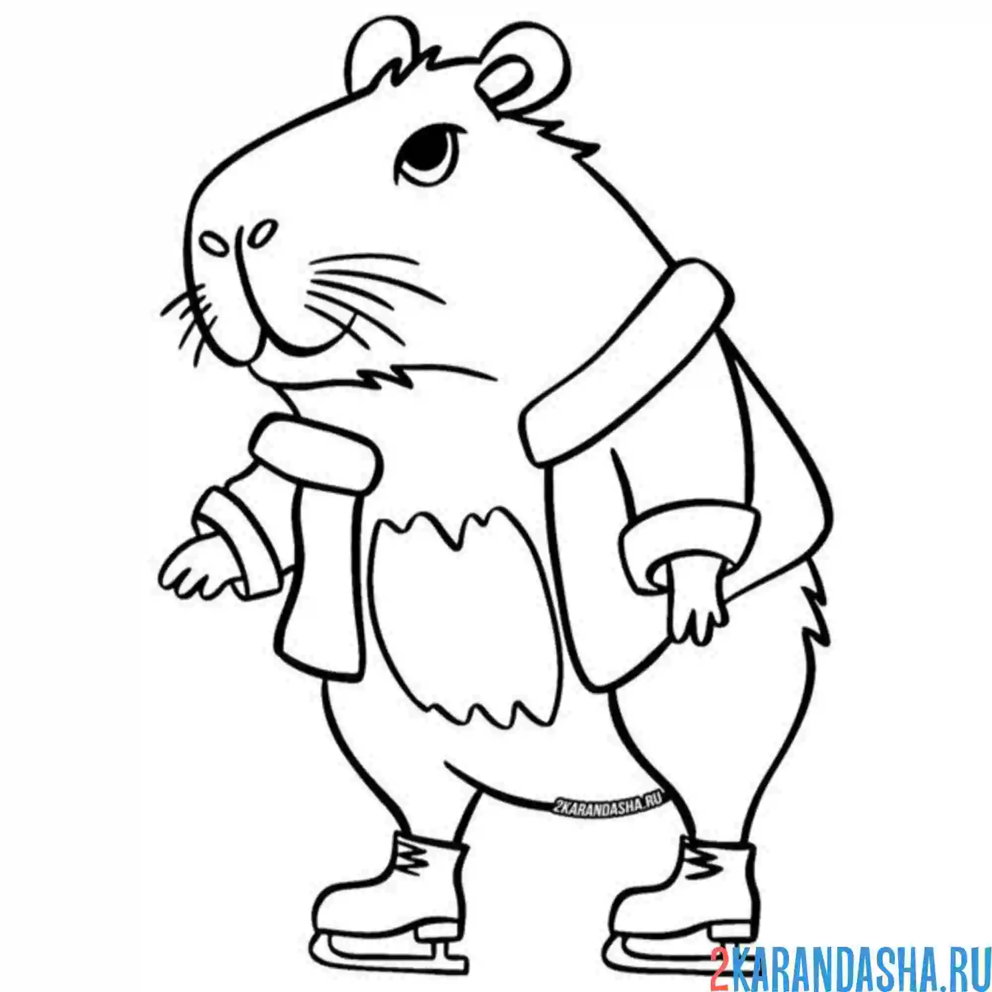 Раскраска капибара зимой