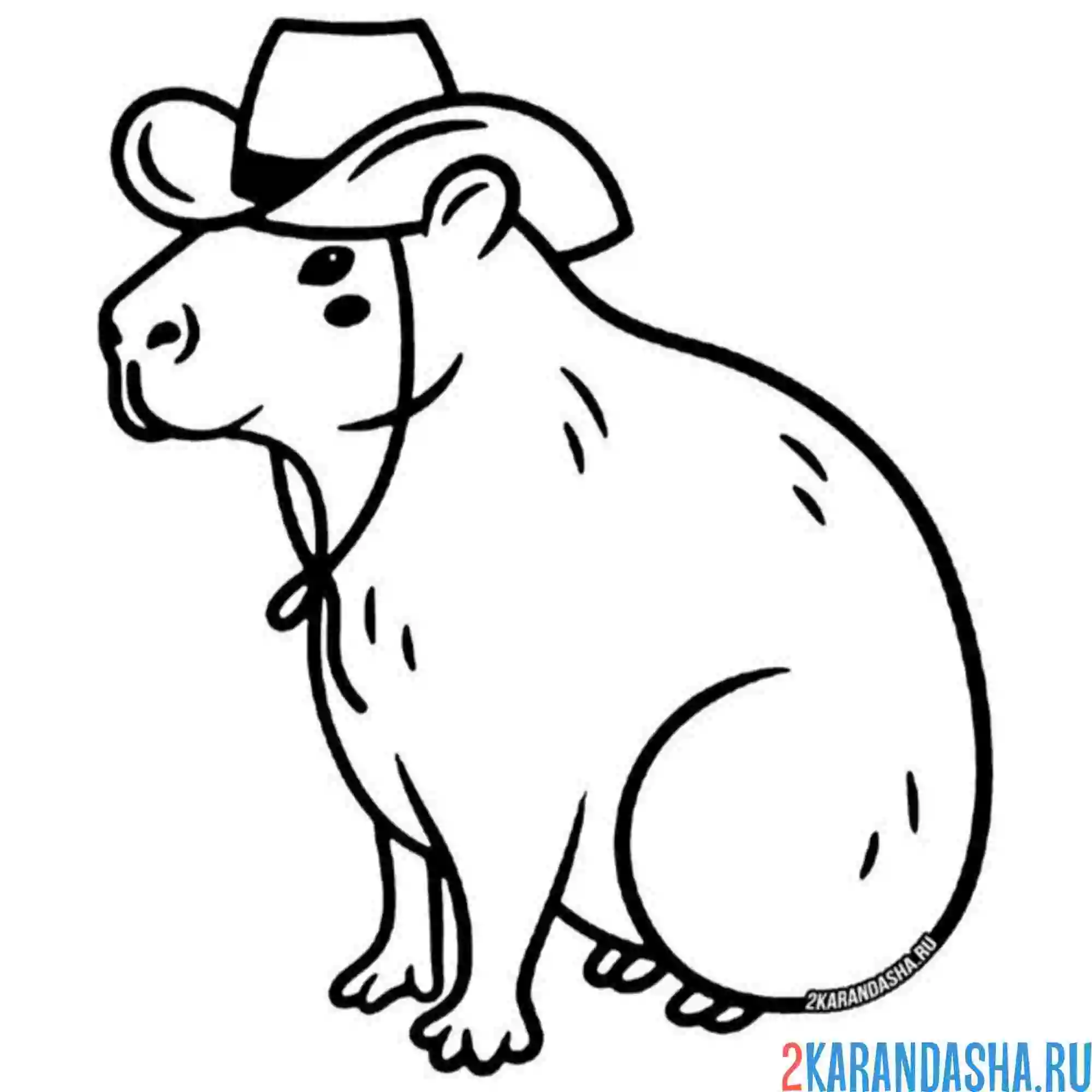 Раскраска капибара ковбой