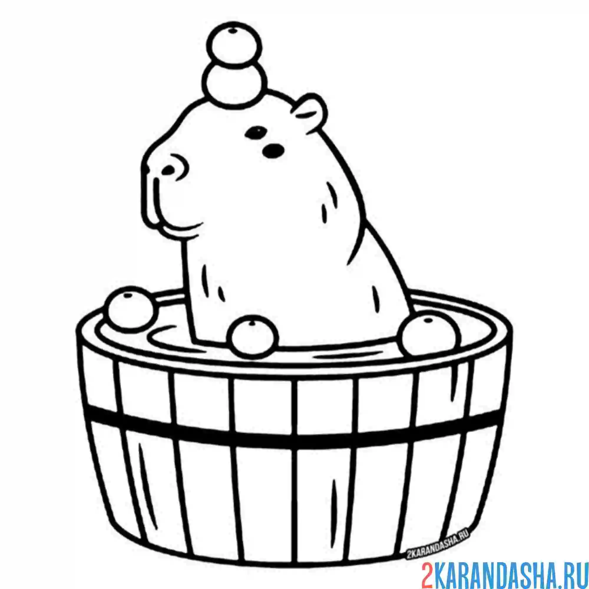 Раскраска капибара в бочке с яблоками