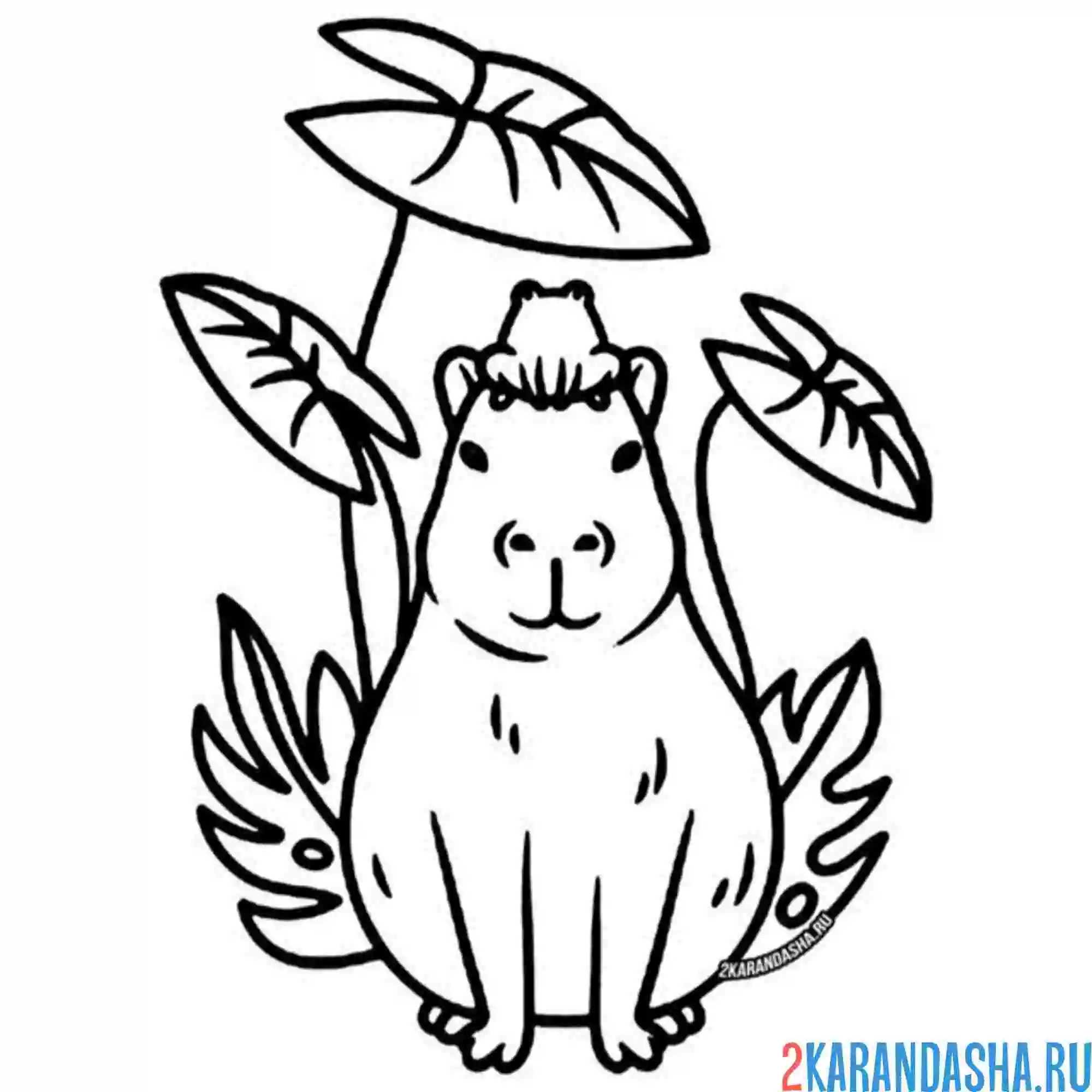 Раскраска капибара под листьями
