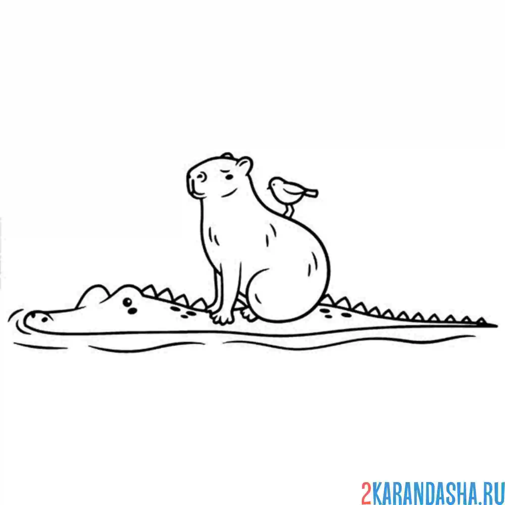 Раскраска капибара на крокодиле