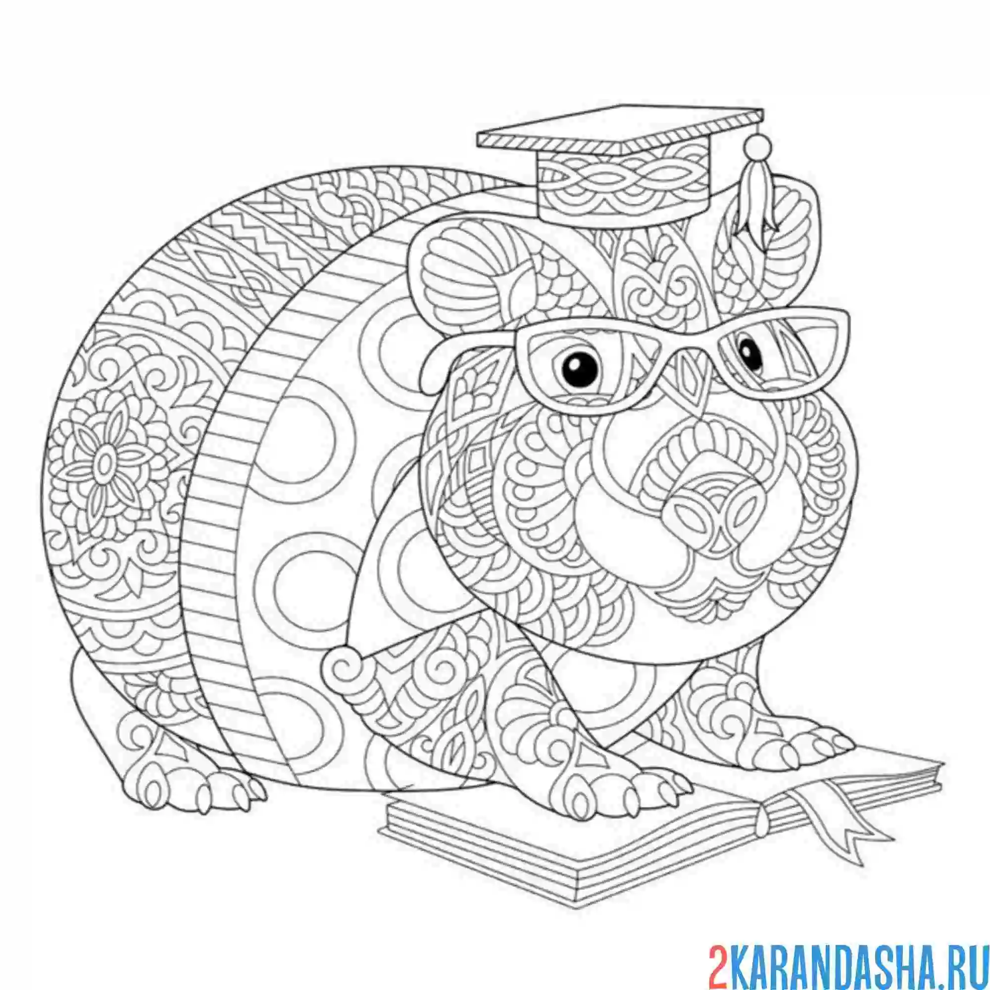 Раскраска антистресс капибара студент