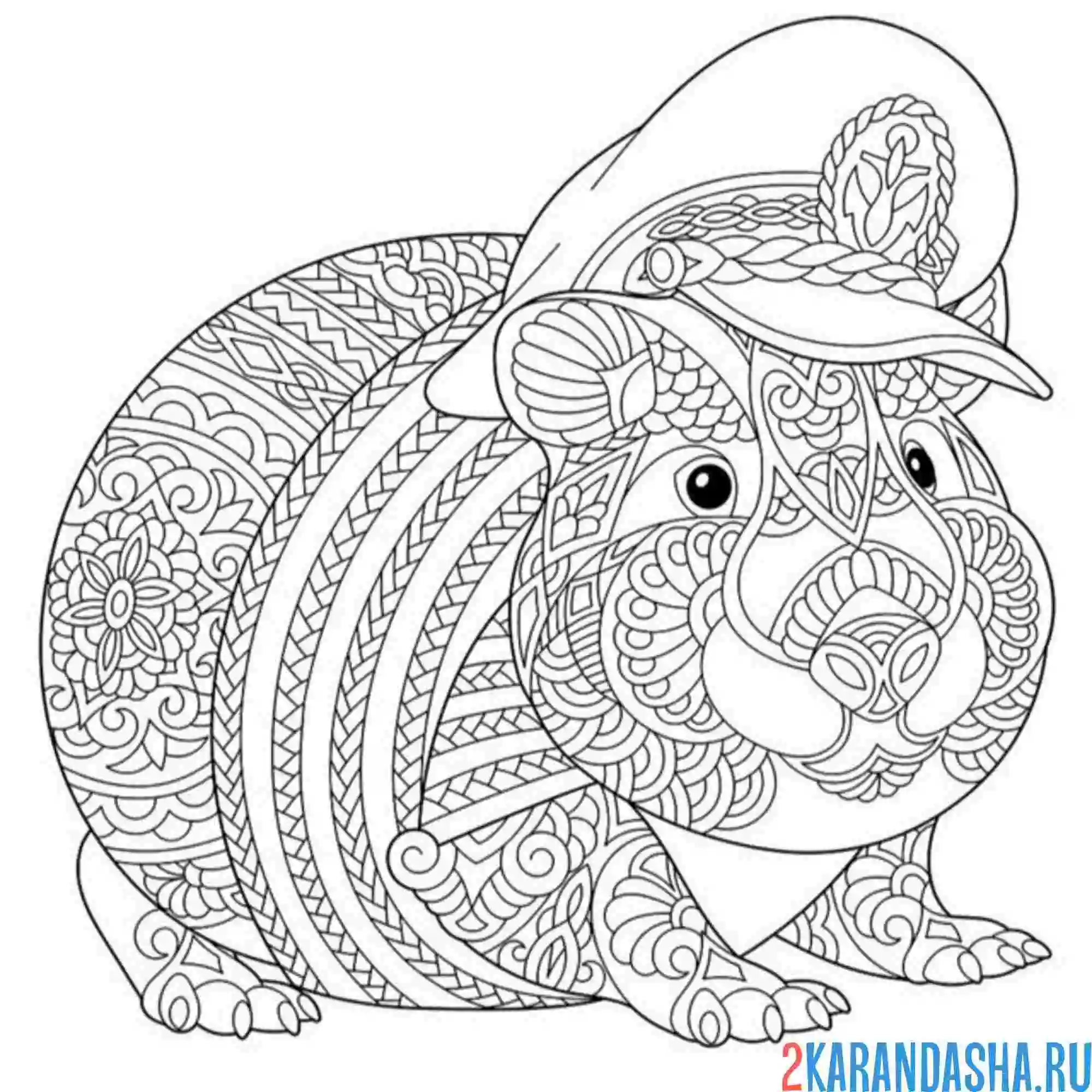 Раскраска капибара капитан антистресс