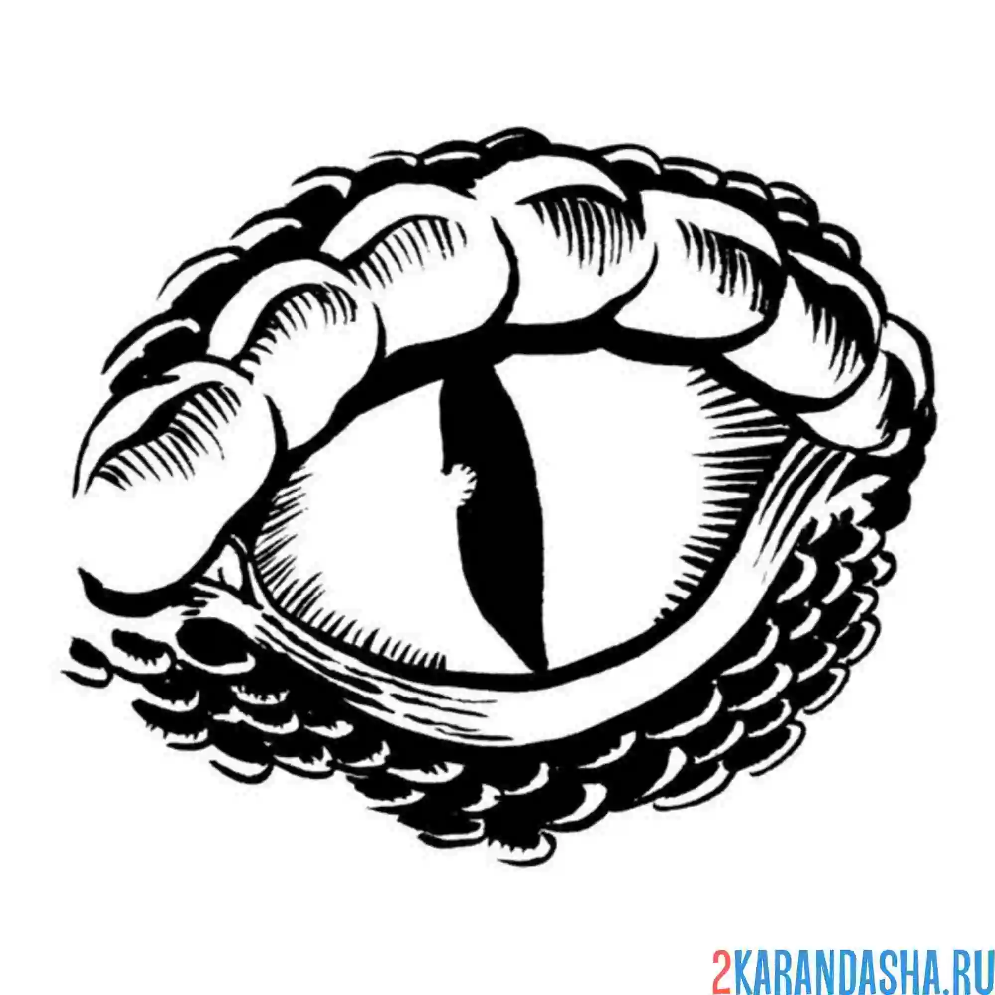 Раскраска глаз змеи